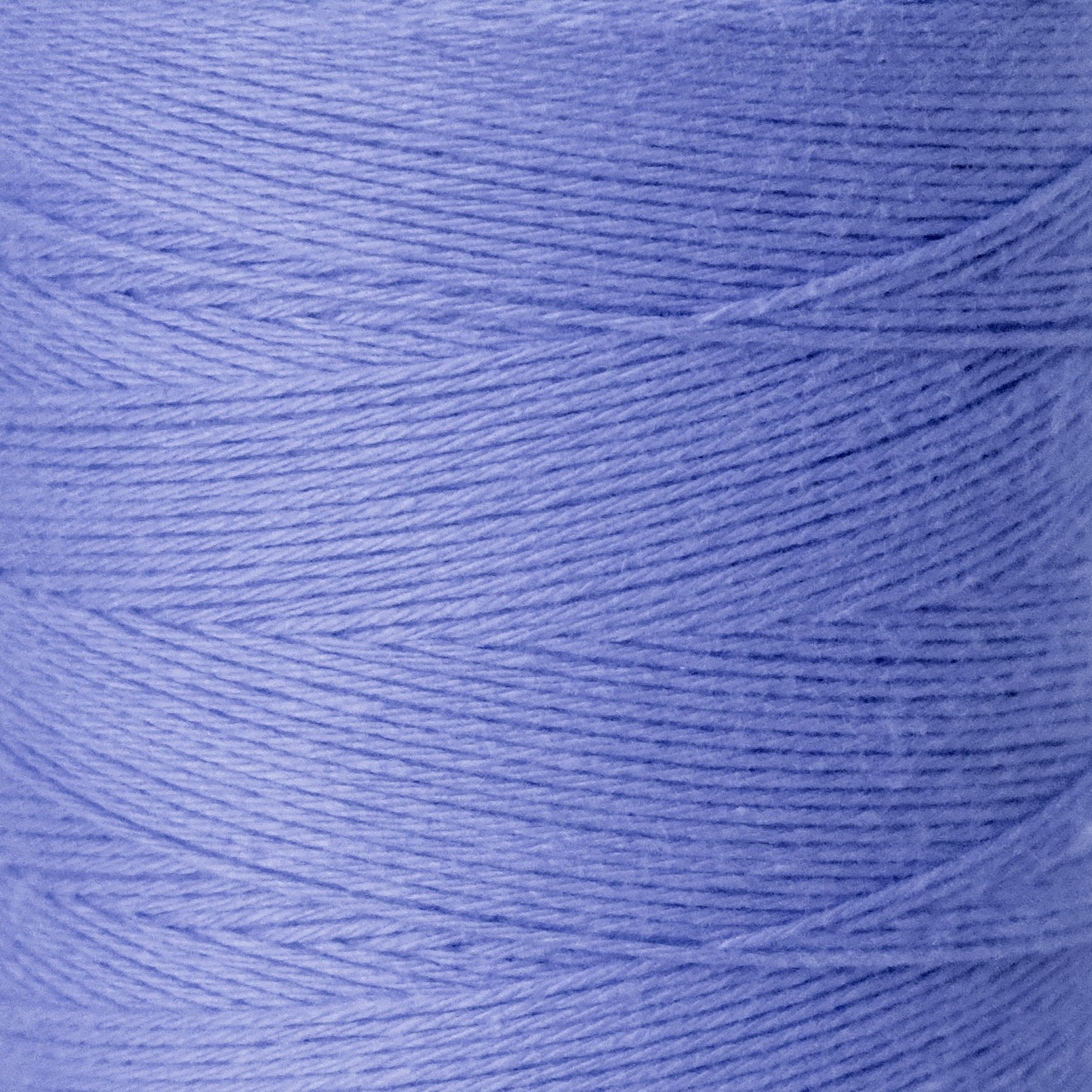 lilac1_1.jpeg