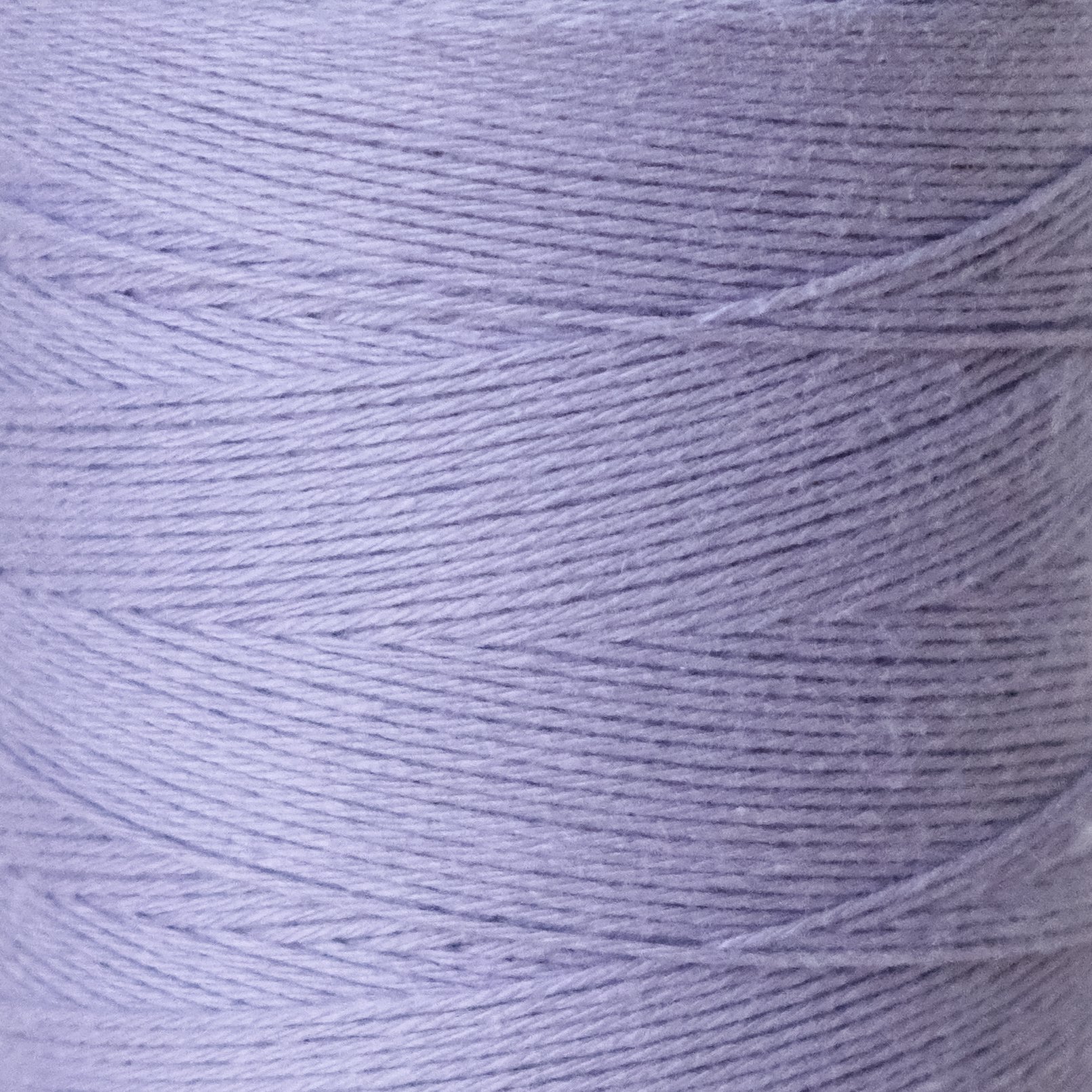 lilac1.jpeg