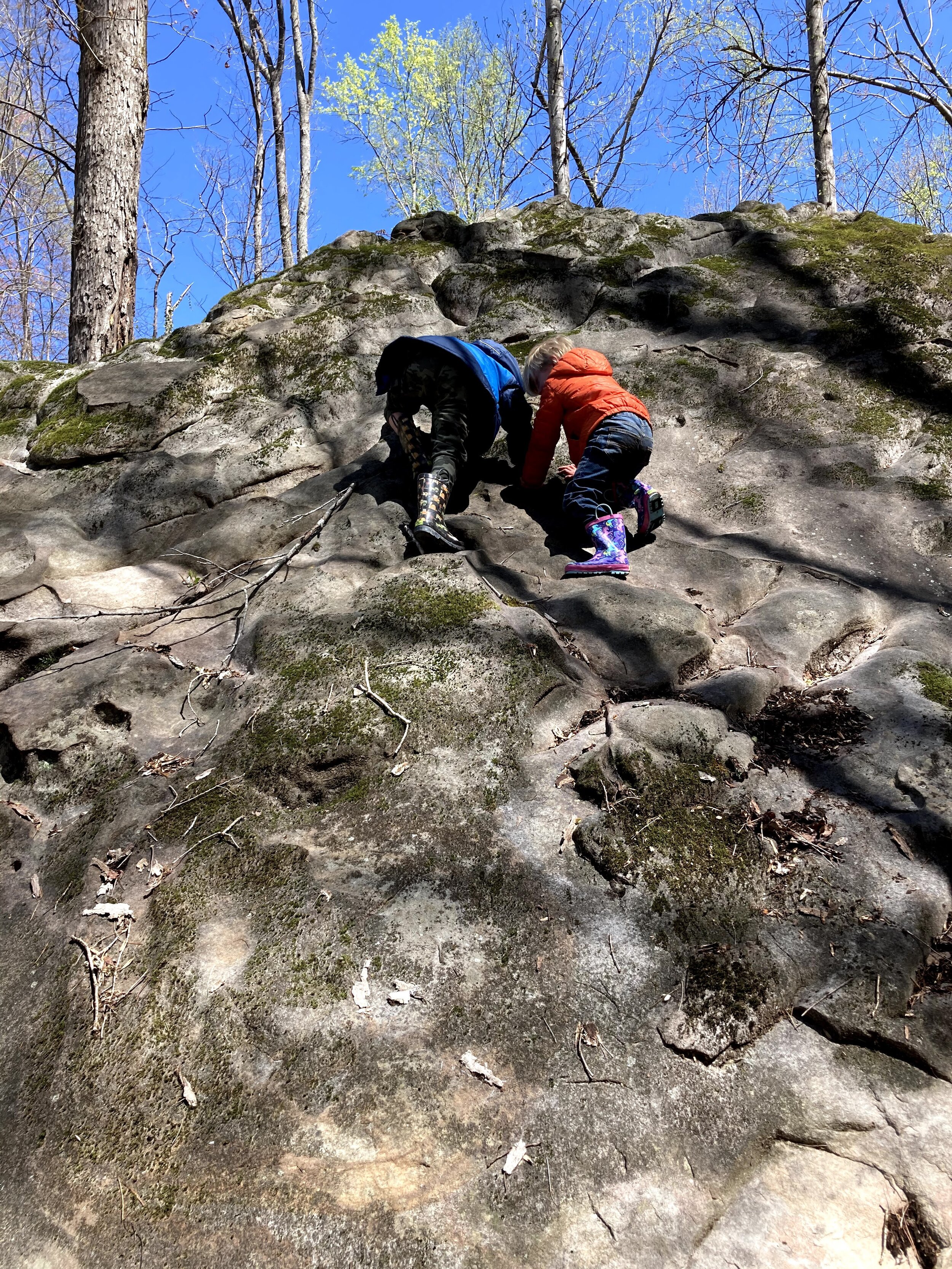 Kids-Climbing-Rocks-at-Forest-School-Chattanooga.jpg