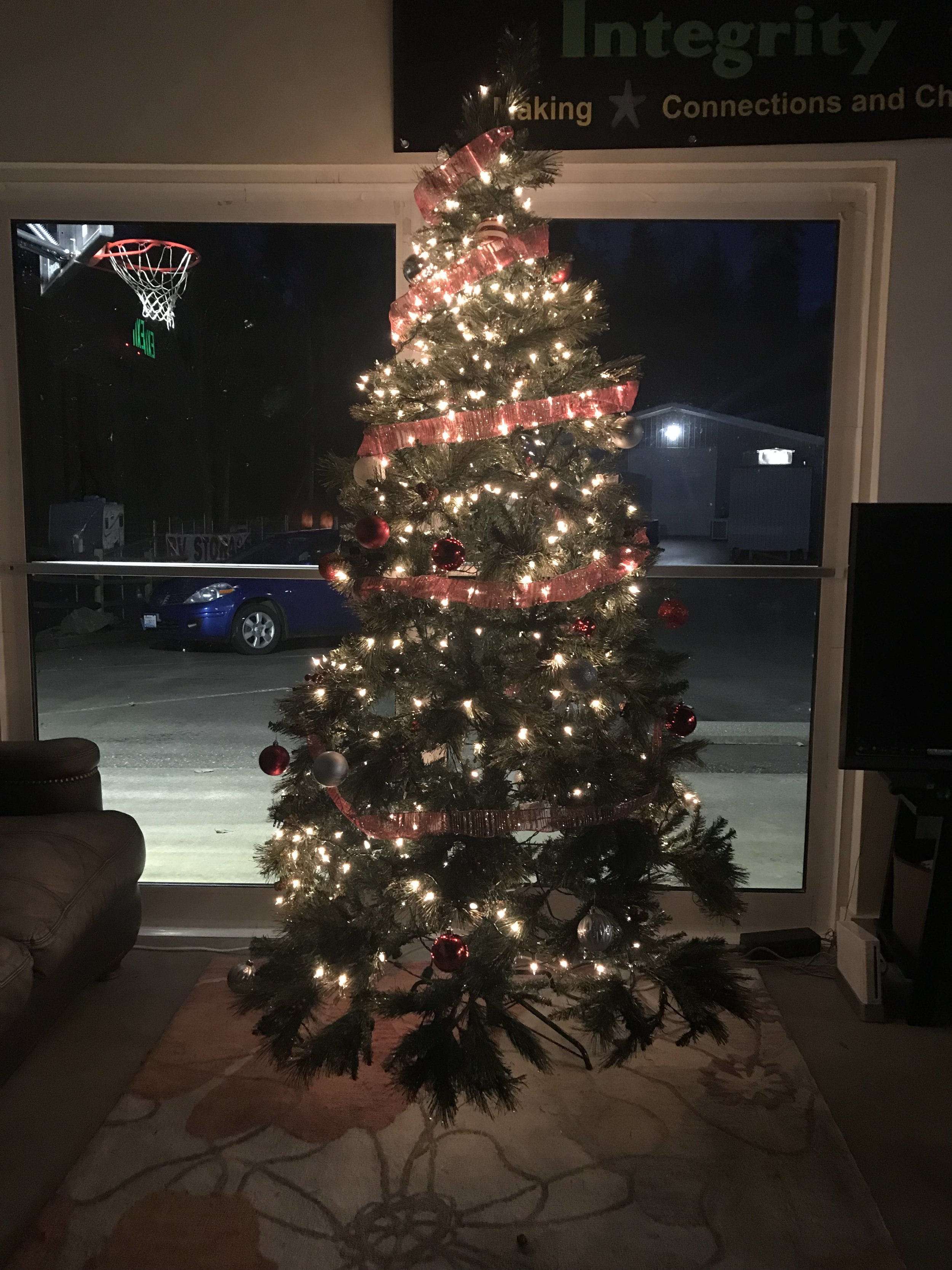 Belfairs christmas tree is up!