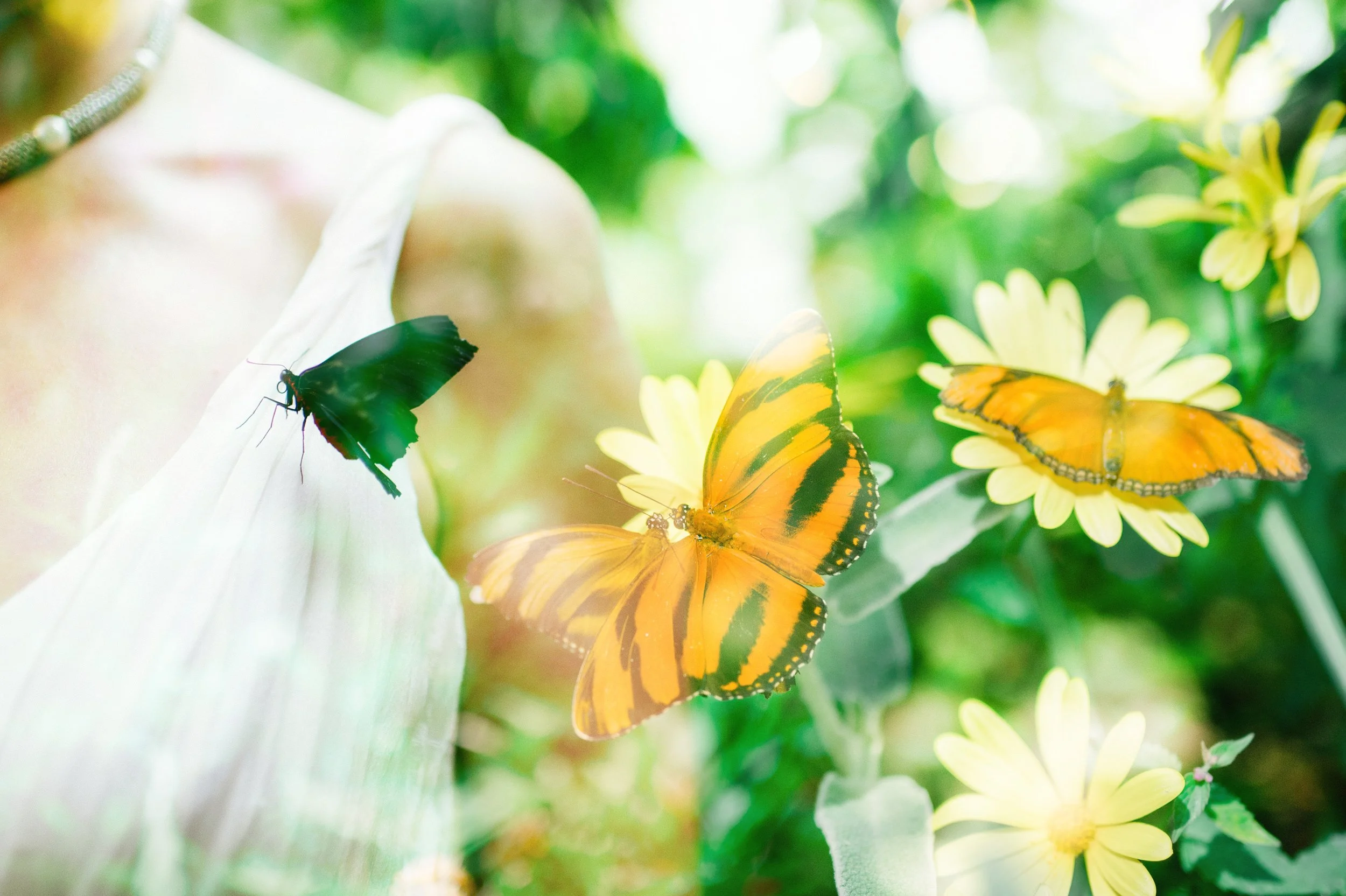 ISS-Divine-Feminine-Flowers-23.jpg