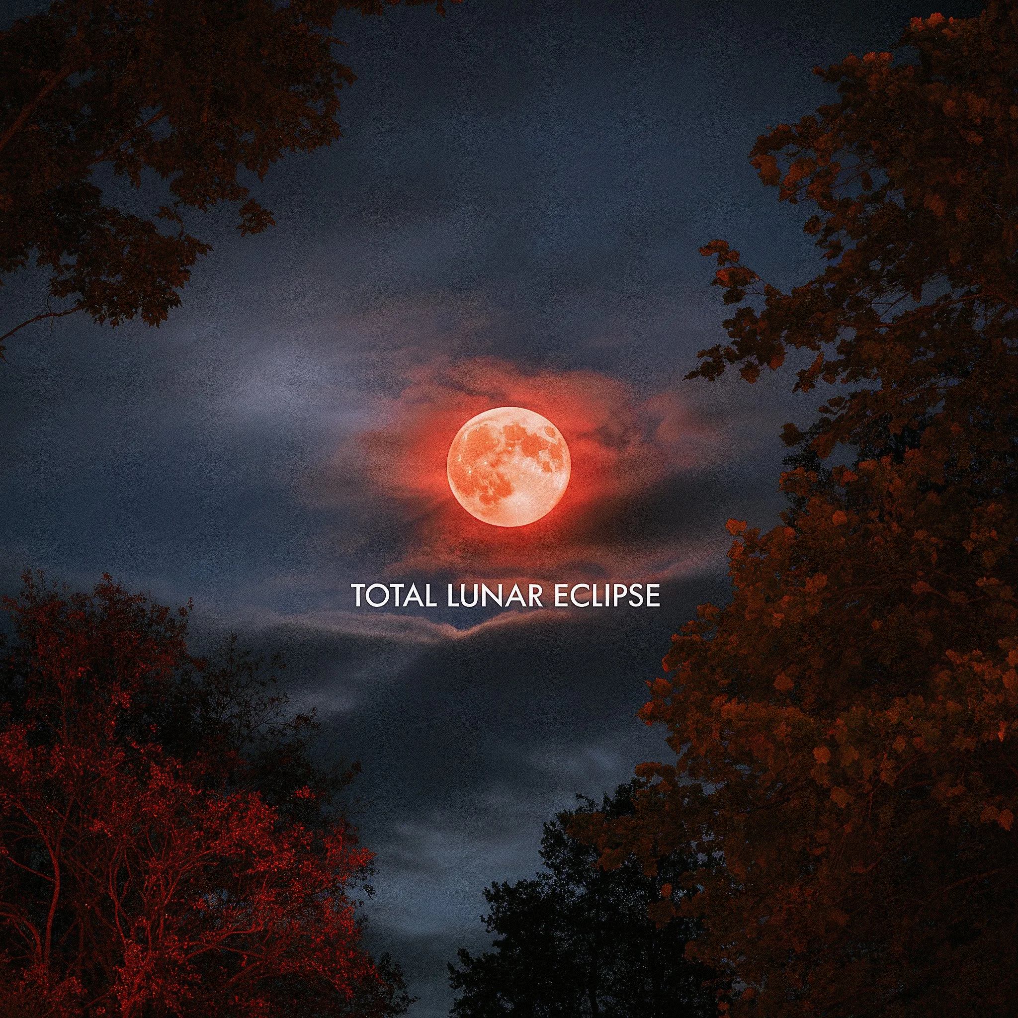 28th August -Full Moon + Lunar Eclipse in Pisces - Release • Surrender • Mystical Integration-Lunar Light Portal