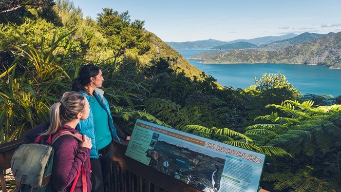 Take a walk on the Queen Charlotte Track