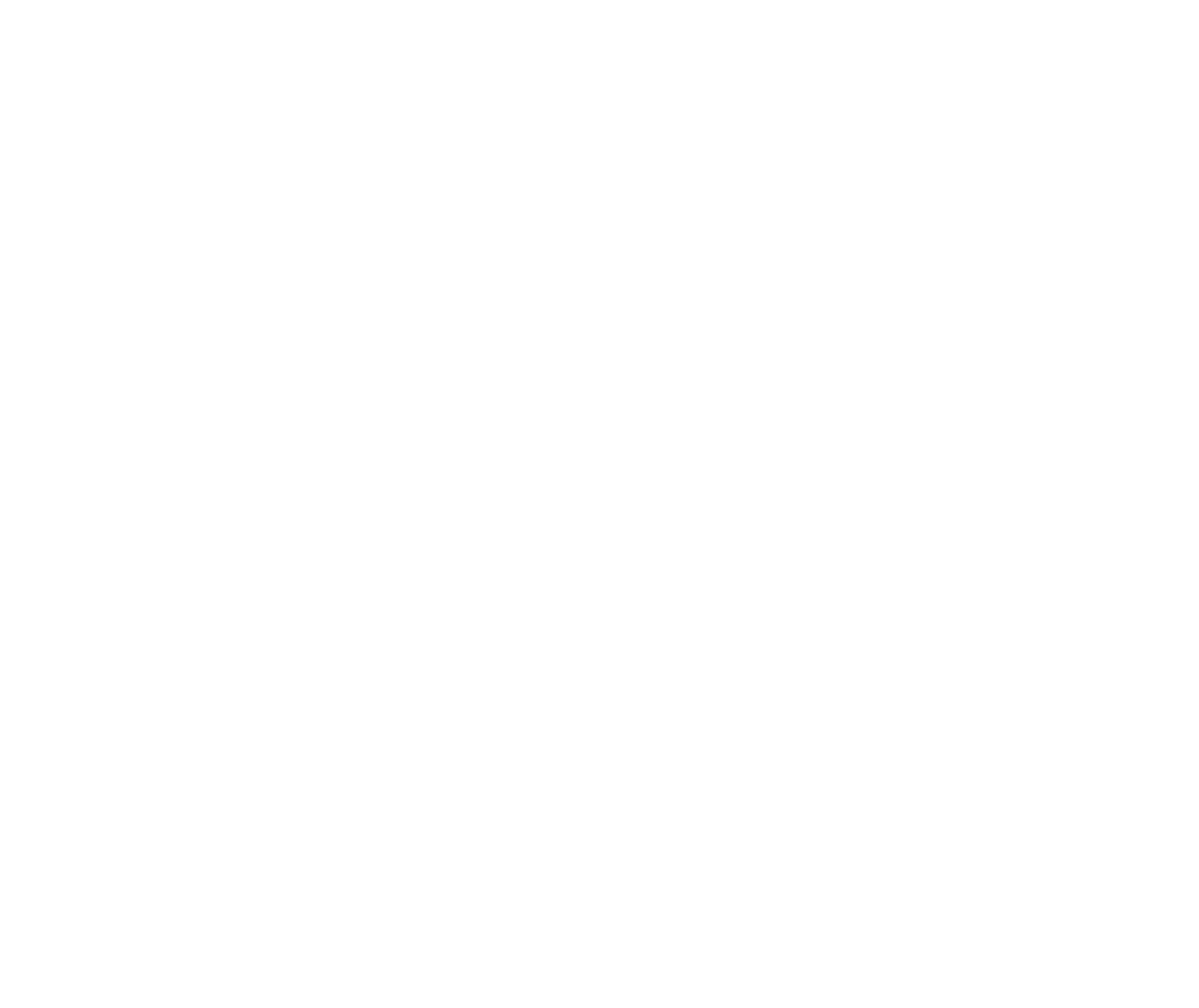 Bri Borror Photography