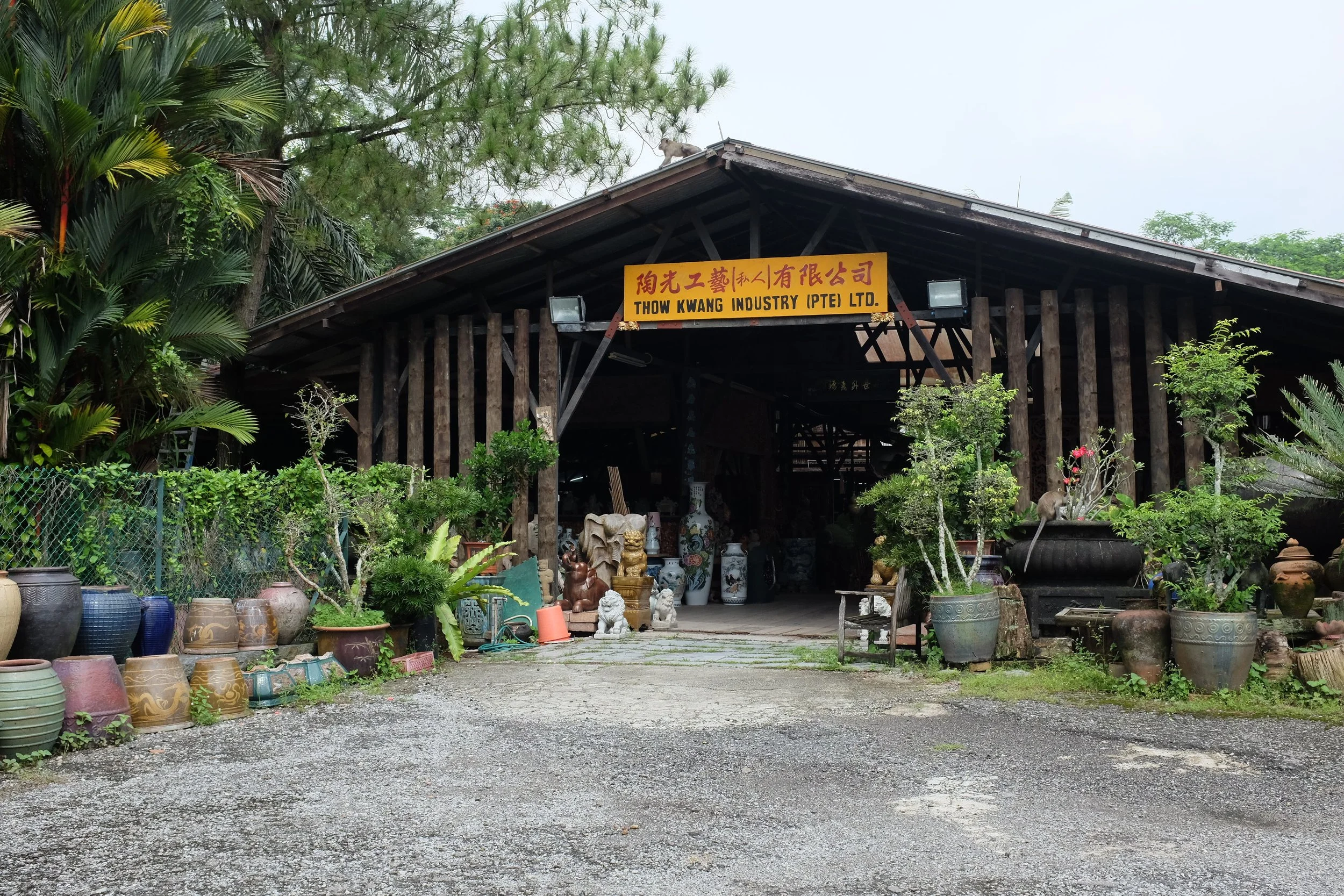 Thow Kwang Pottery Jungle, 2017. SOURCE: JNZL