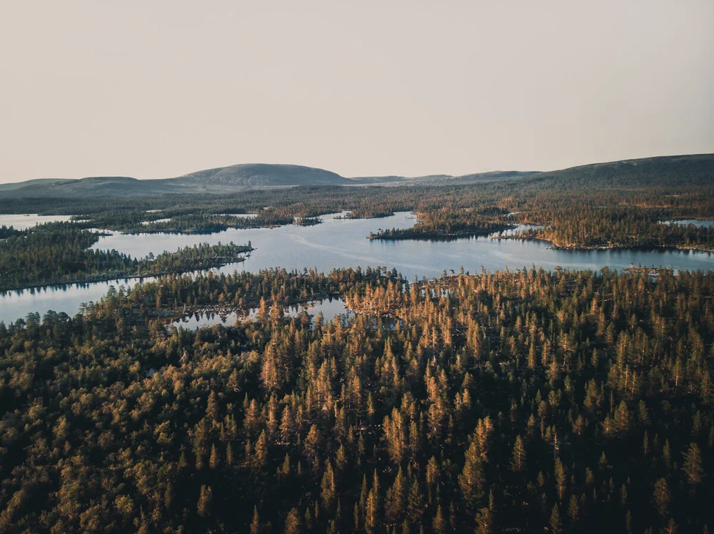 DJI_0240.jpeg
