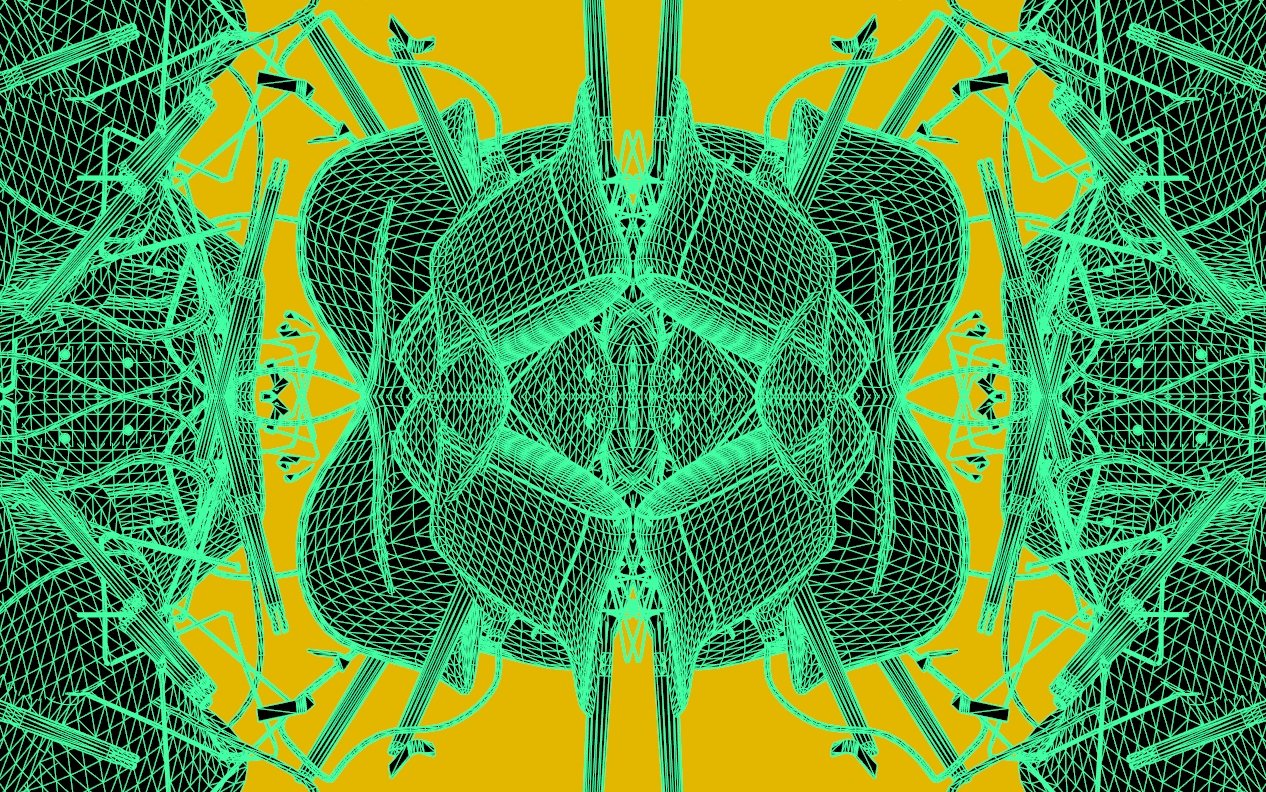 crabs and Insects (64).jpg