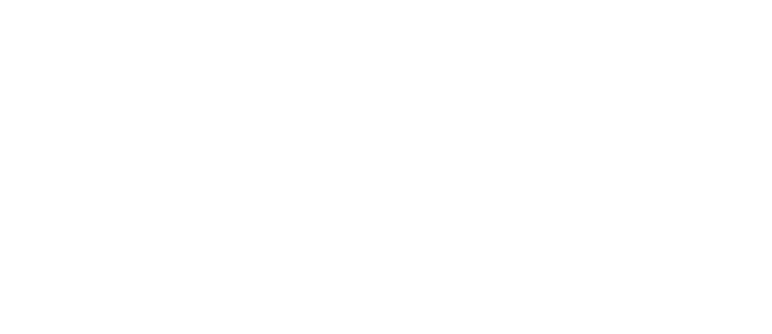 Raak Expedities