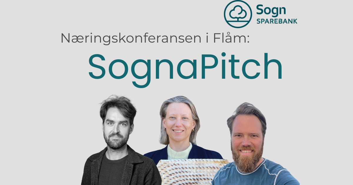 SognaPitch under Næringskonferansen i Flåm 