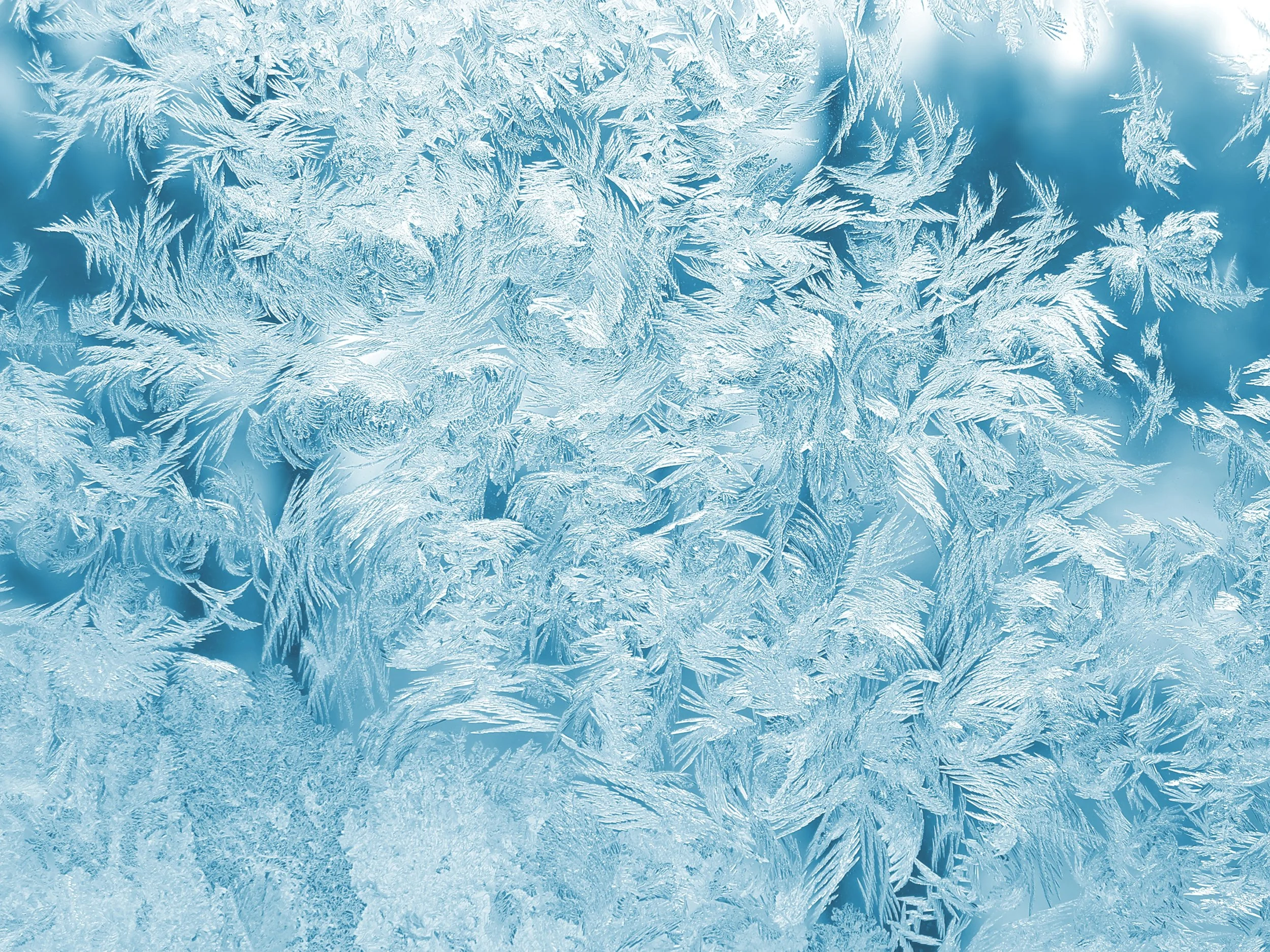 Are you feeling cold?