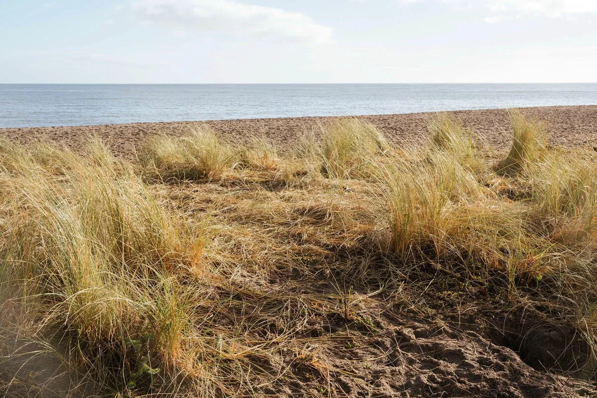 KateDuggan conditions beach.jpeg