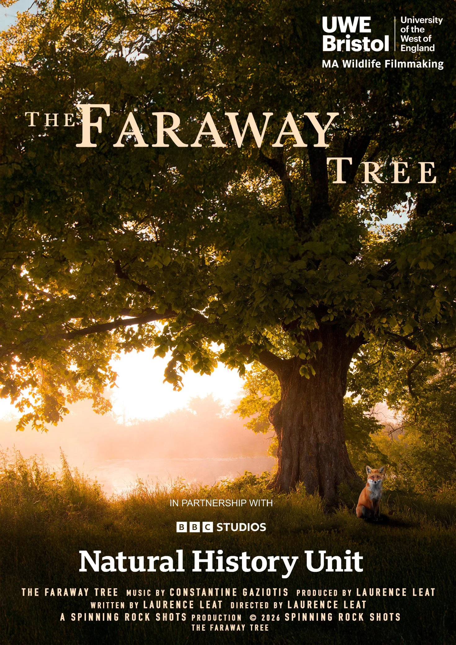 The Faraway Tree