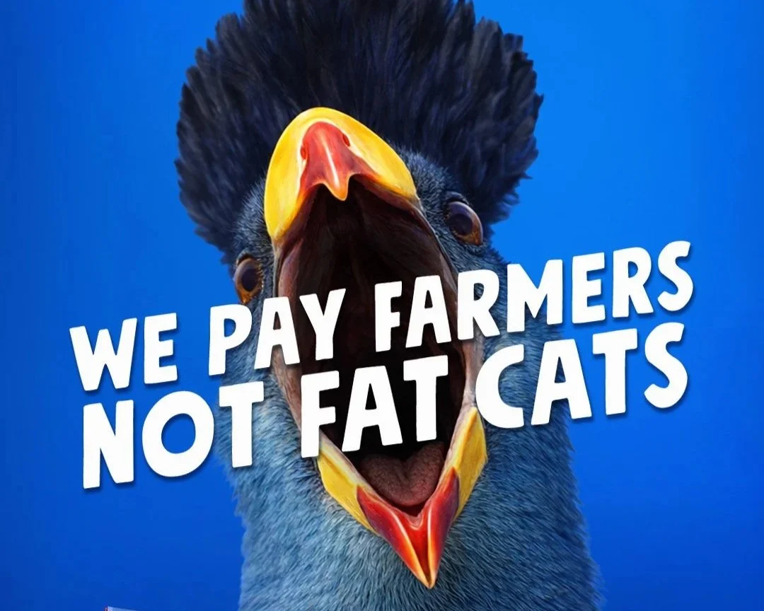 Blue Turaco OOH Campaign
