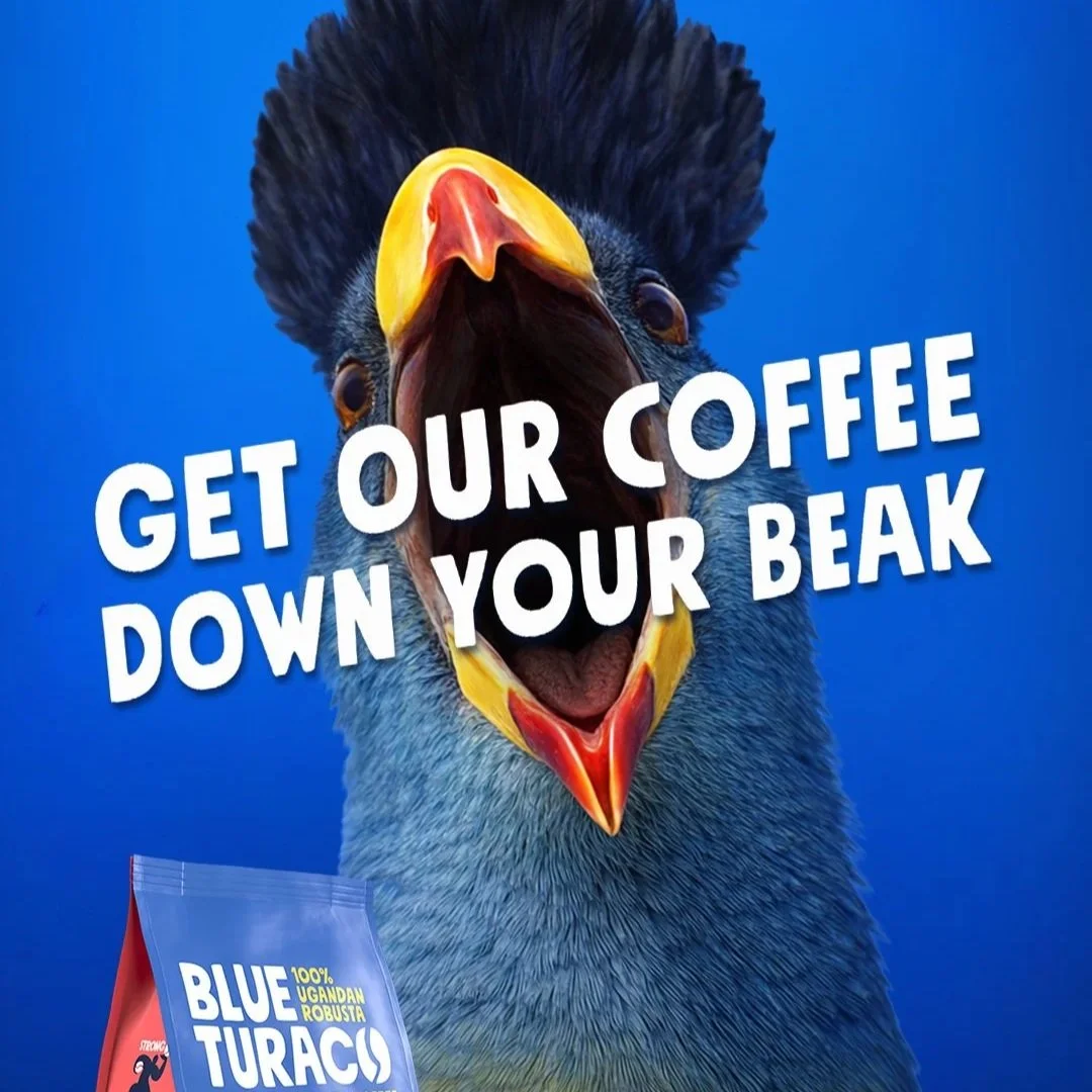 Blue Turaco OOH