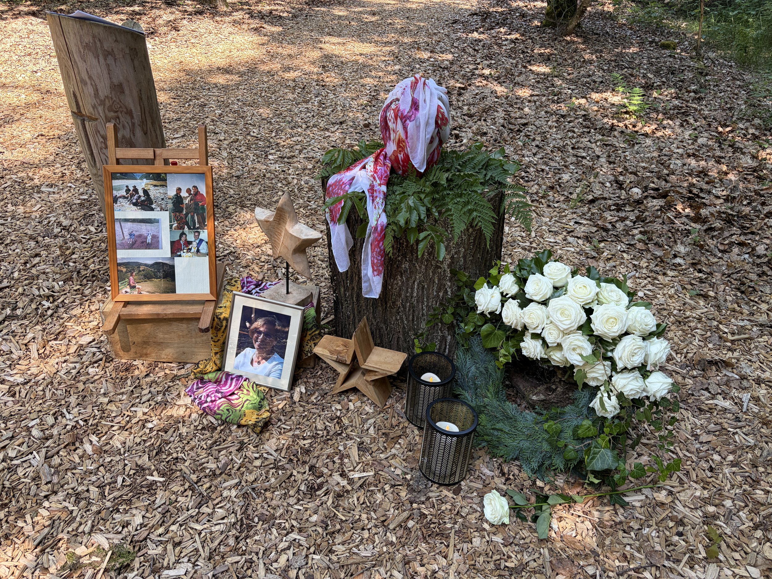 Unsere langjährige Mitarbeiterin Petra Breit wurde am 19.6.2026 im Friedwald in Waldalgesheim beigesetzt, unter großer Anteilnahme auch aus der Fachschaft, wie z. B. Klaus Bierbaum. Sie ist Mitte Mai 2026 verstorben, nach einer langjährigen schweren 