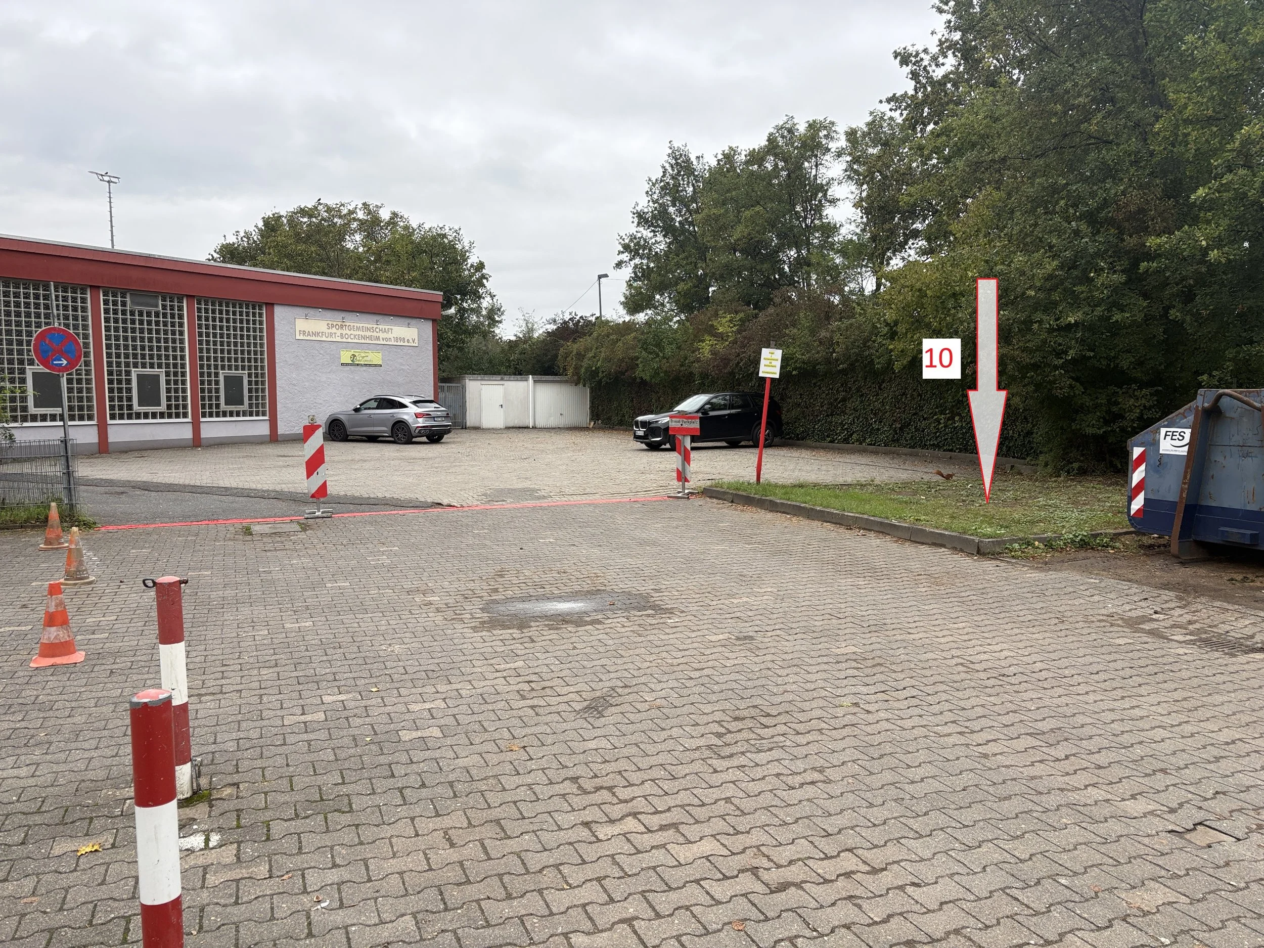 Nr. 10 - Platanus acerifolia.jpg