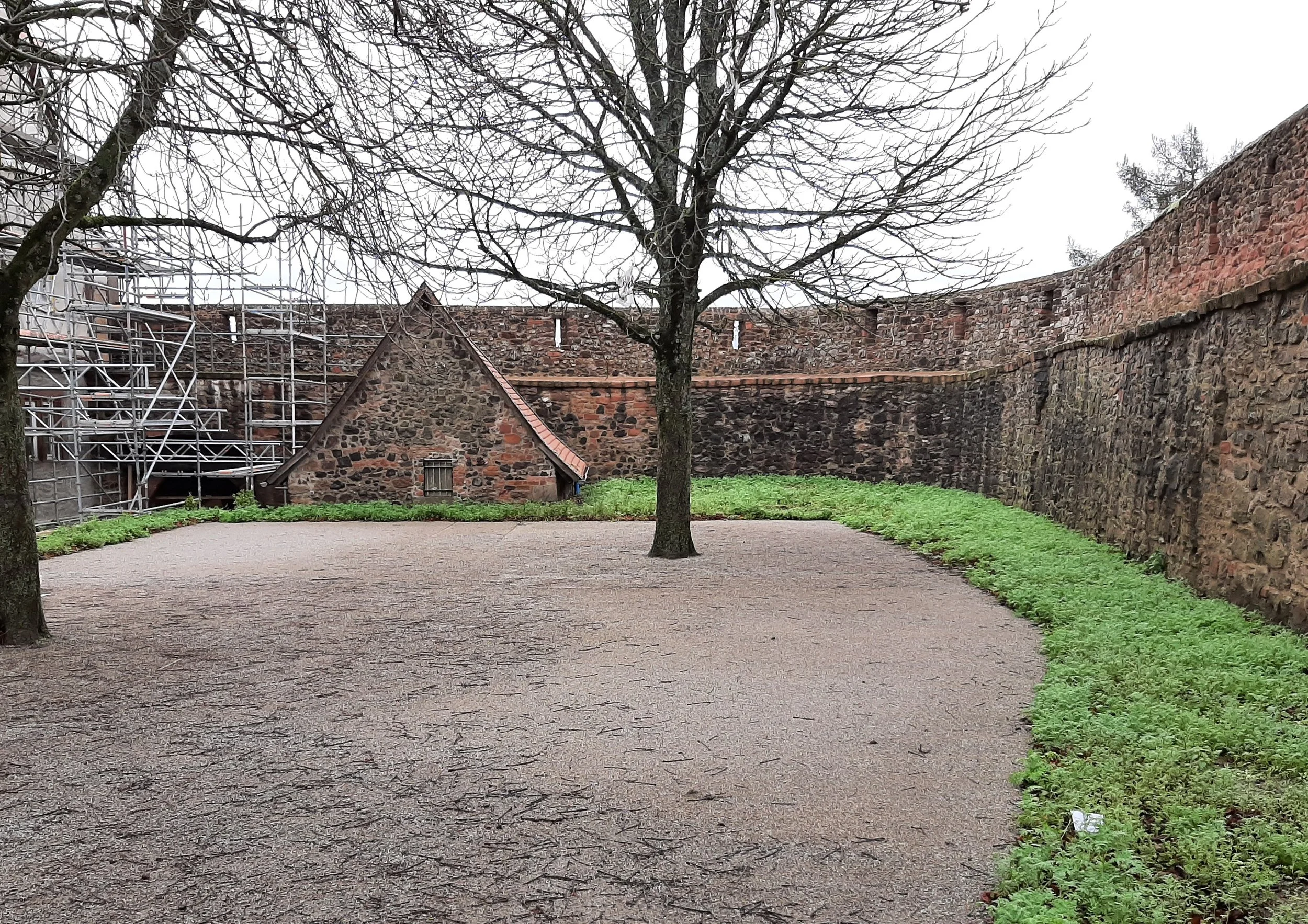 Foto für Website.jpg