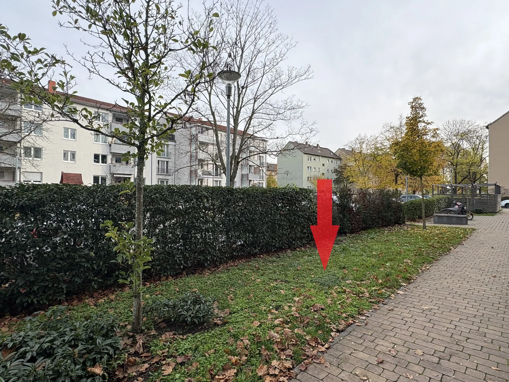 Baumpflanzungen in Frankfurt am Main