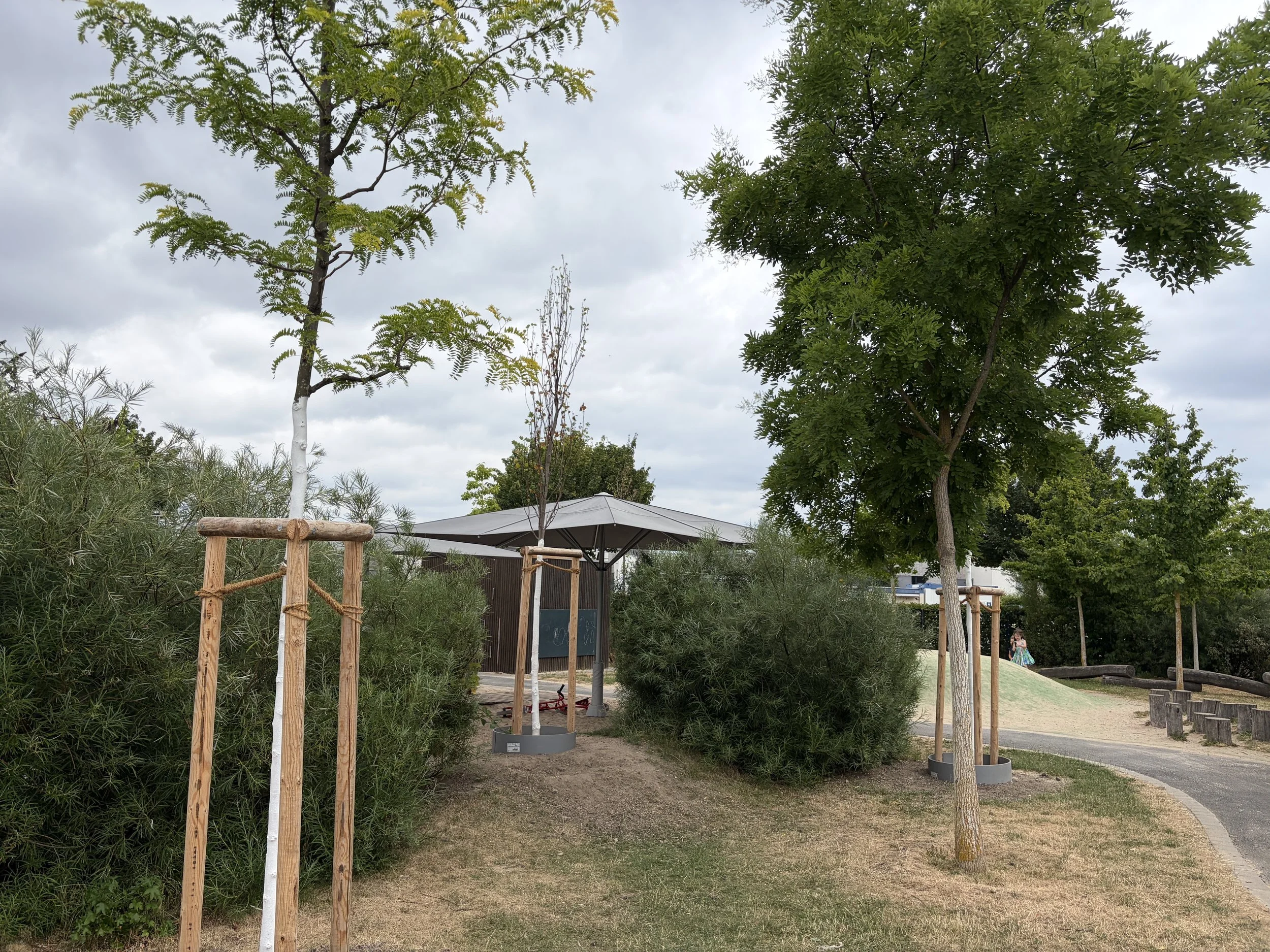 Pflanzung Ersatzbäume in Frankfurt am Main