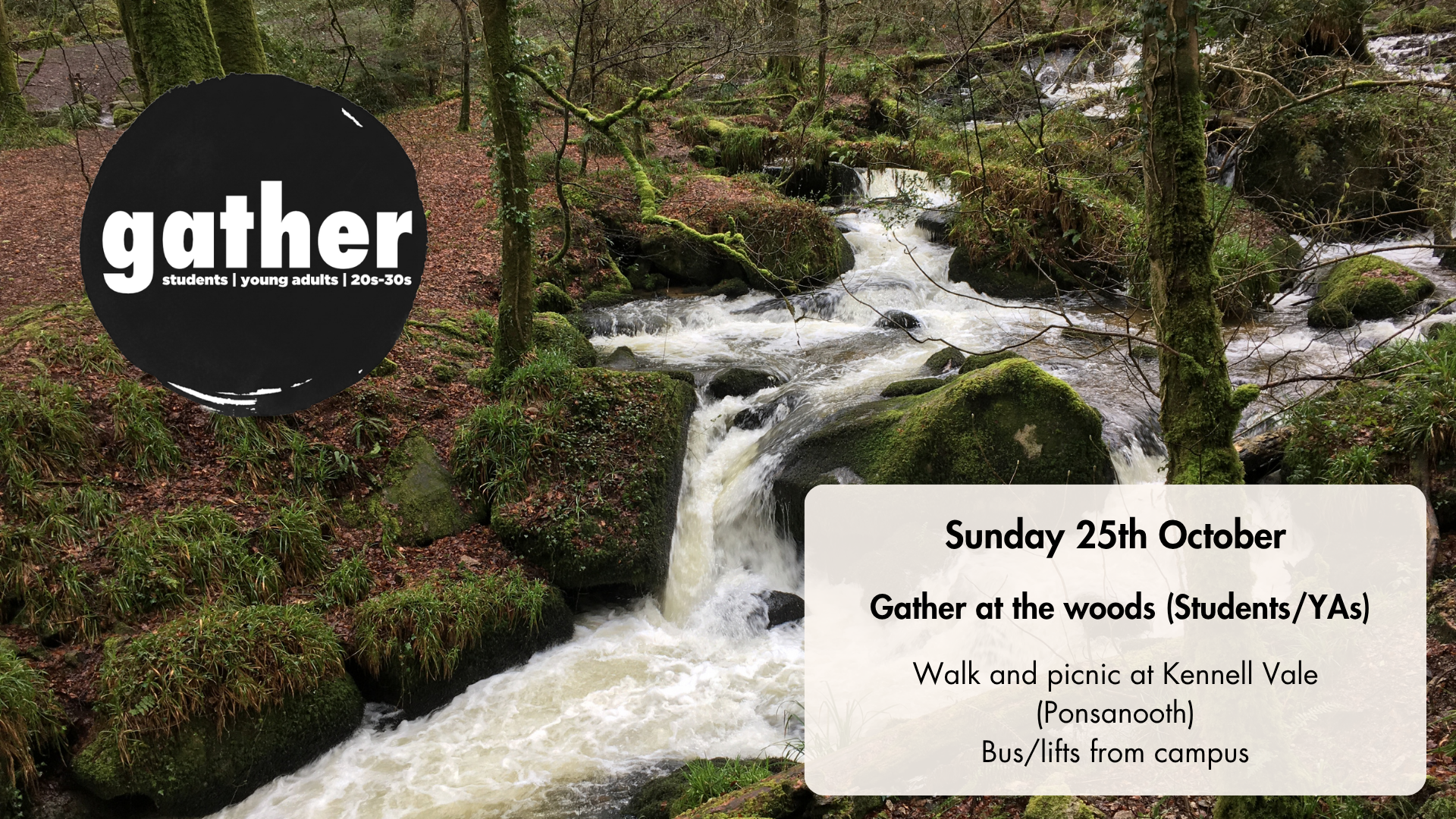 Gather at the Woods (Students/YA)