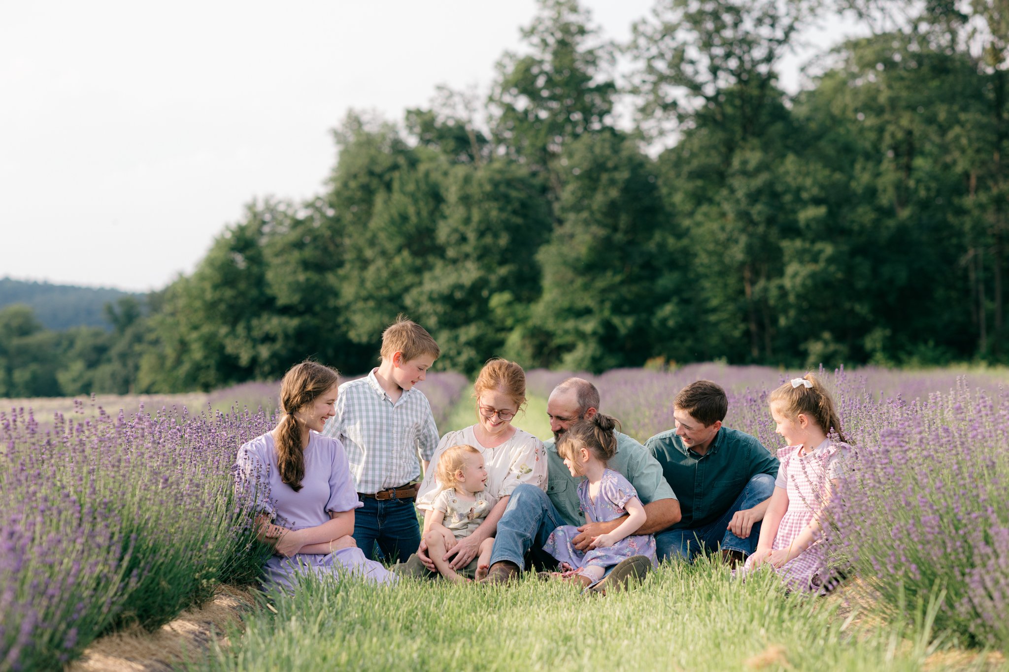 love & lavender…