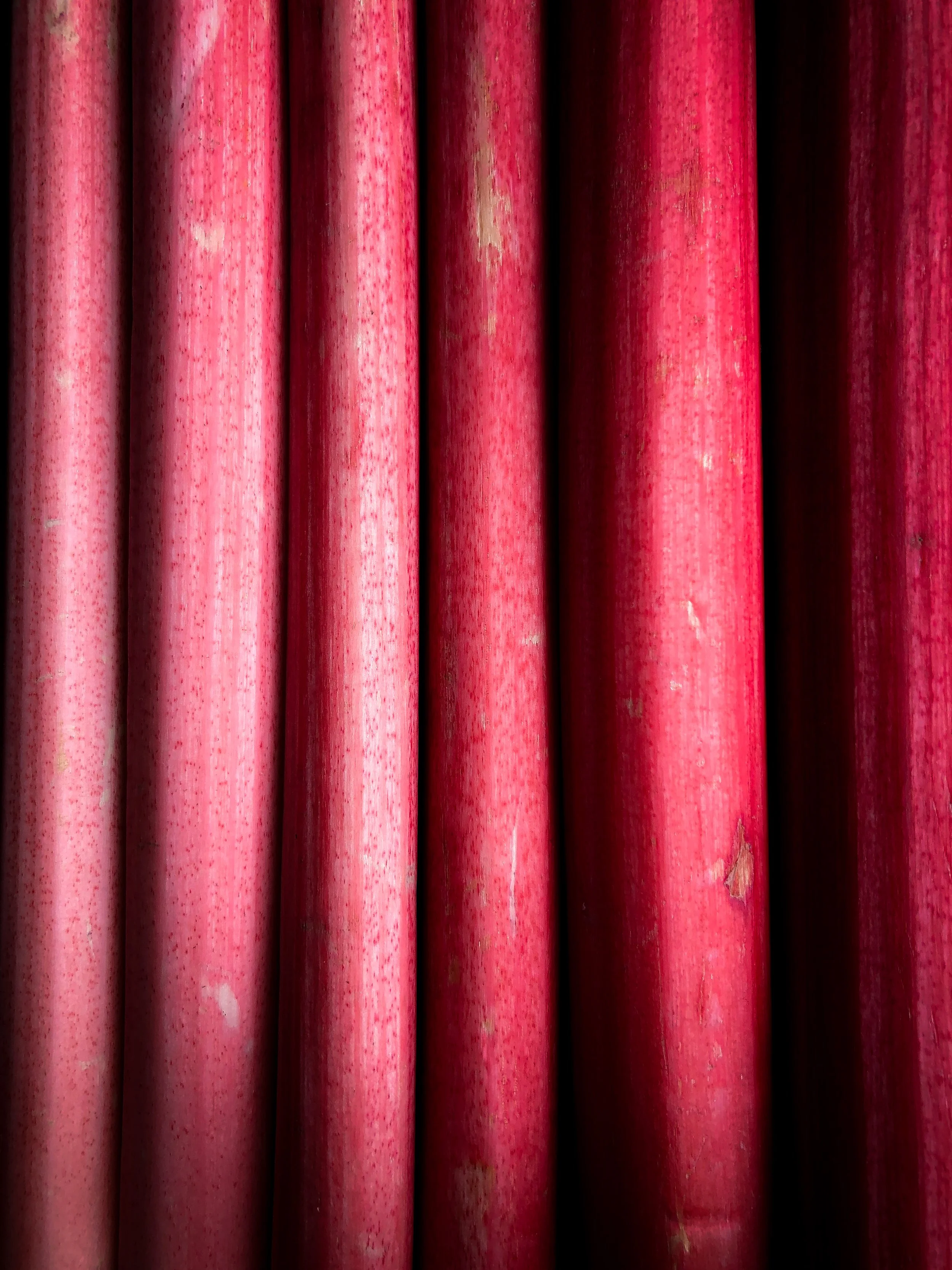 A Rhubarb Story