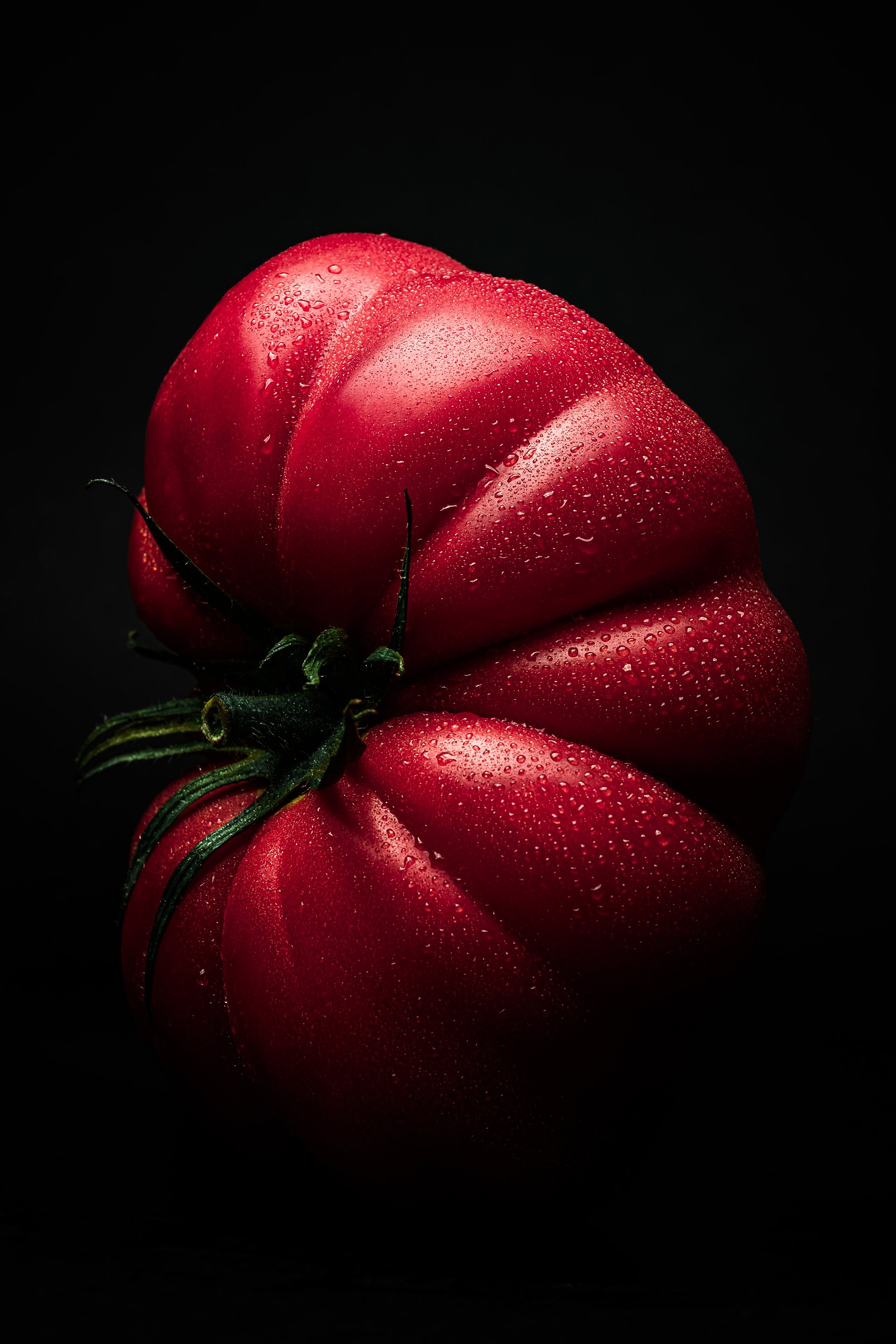 MadeByMyMillas-Godox-TomatoPortraits-4.jpg