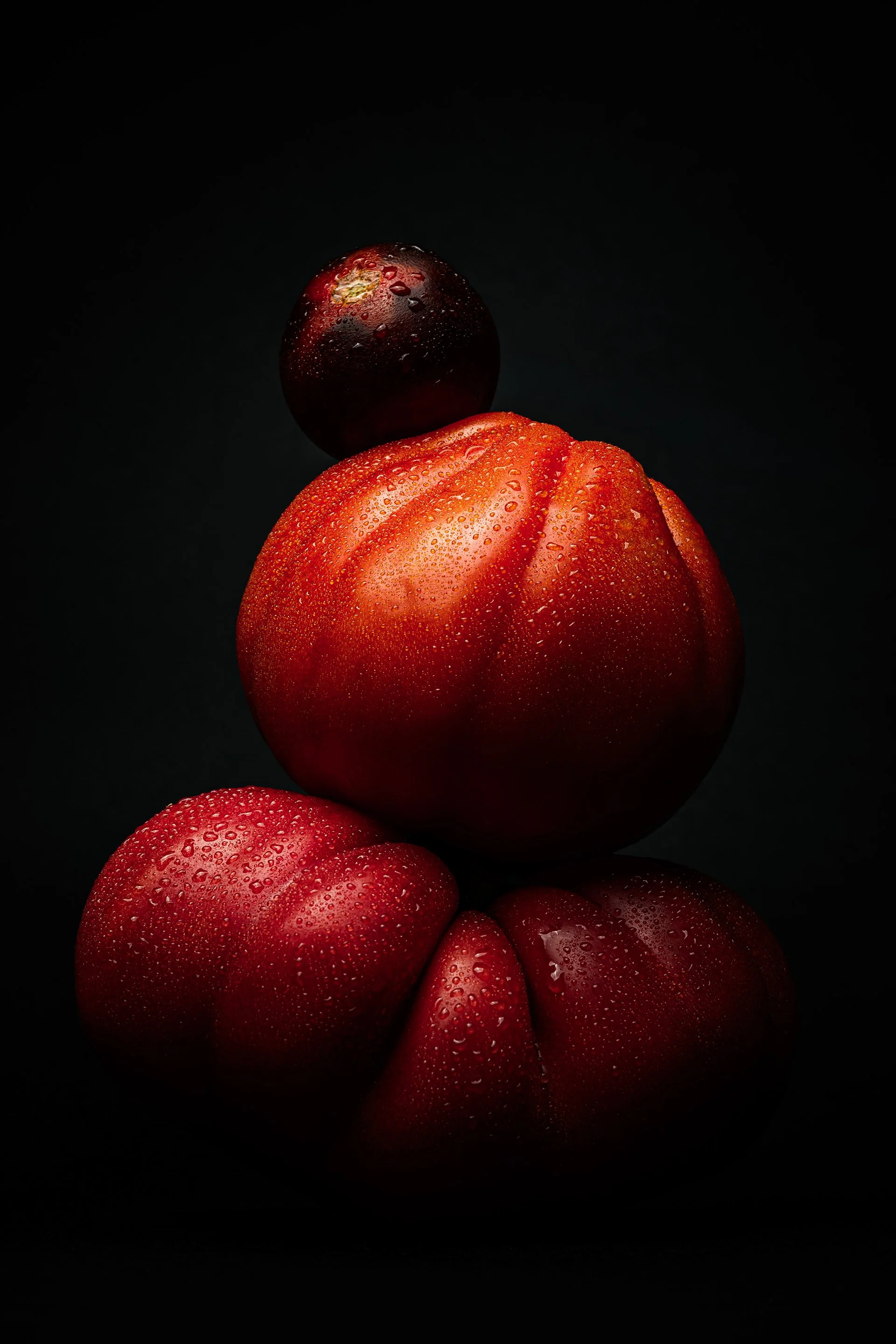 MadeByMyMillas-Godox-TomatoPortraits-2.jpg