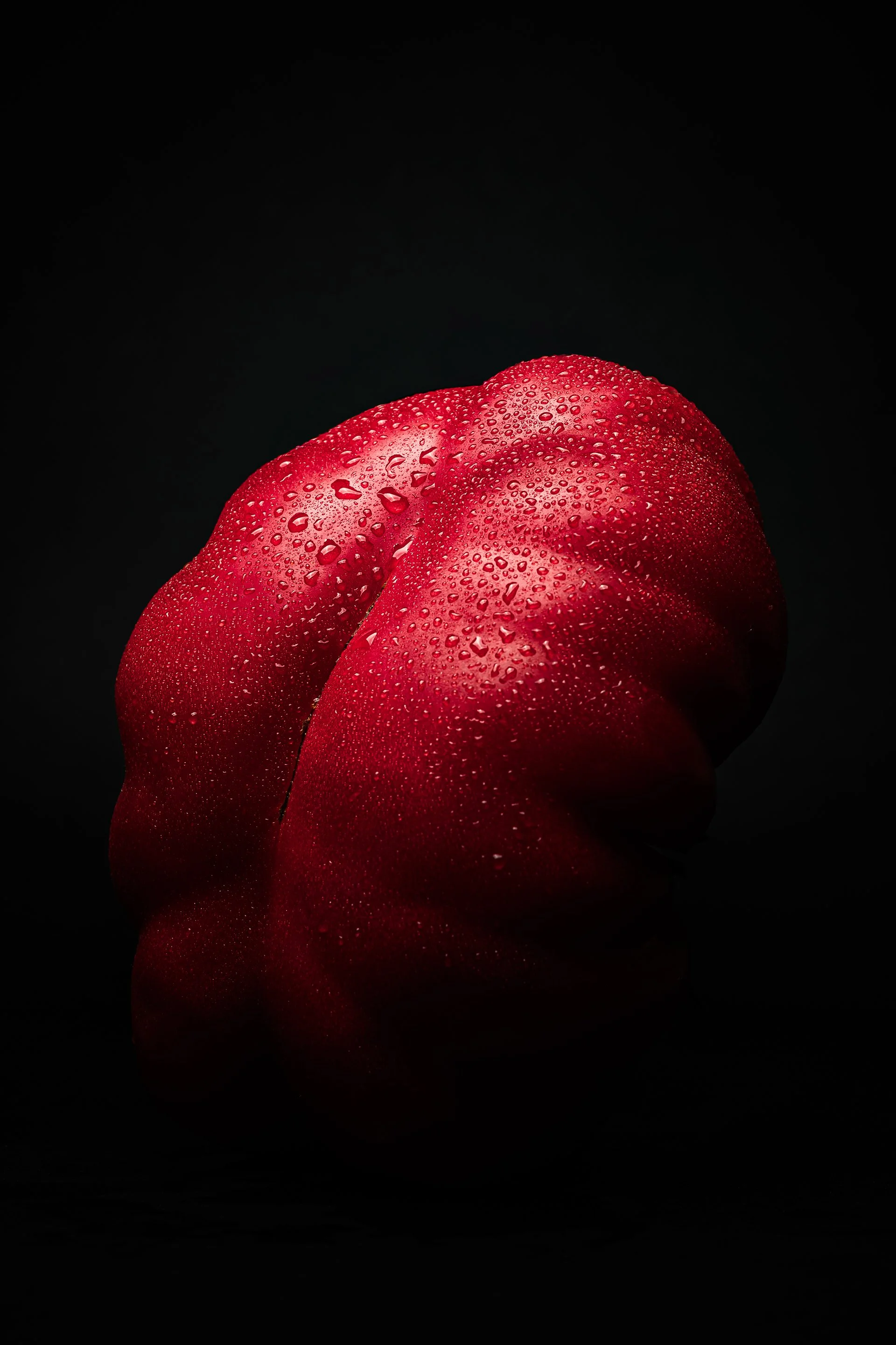MadeByMyMillas-Godox-TomatoPortraits-3.jpg