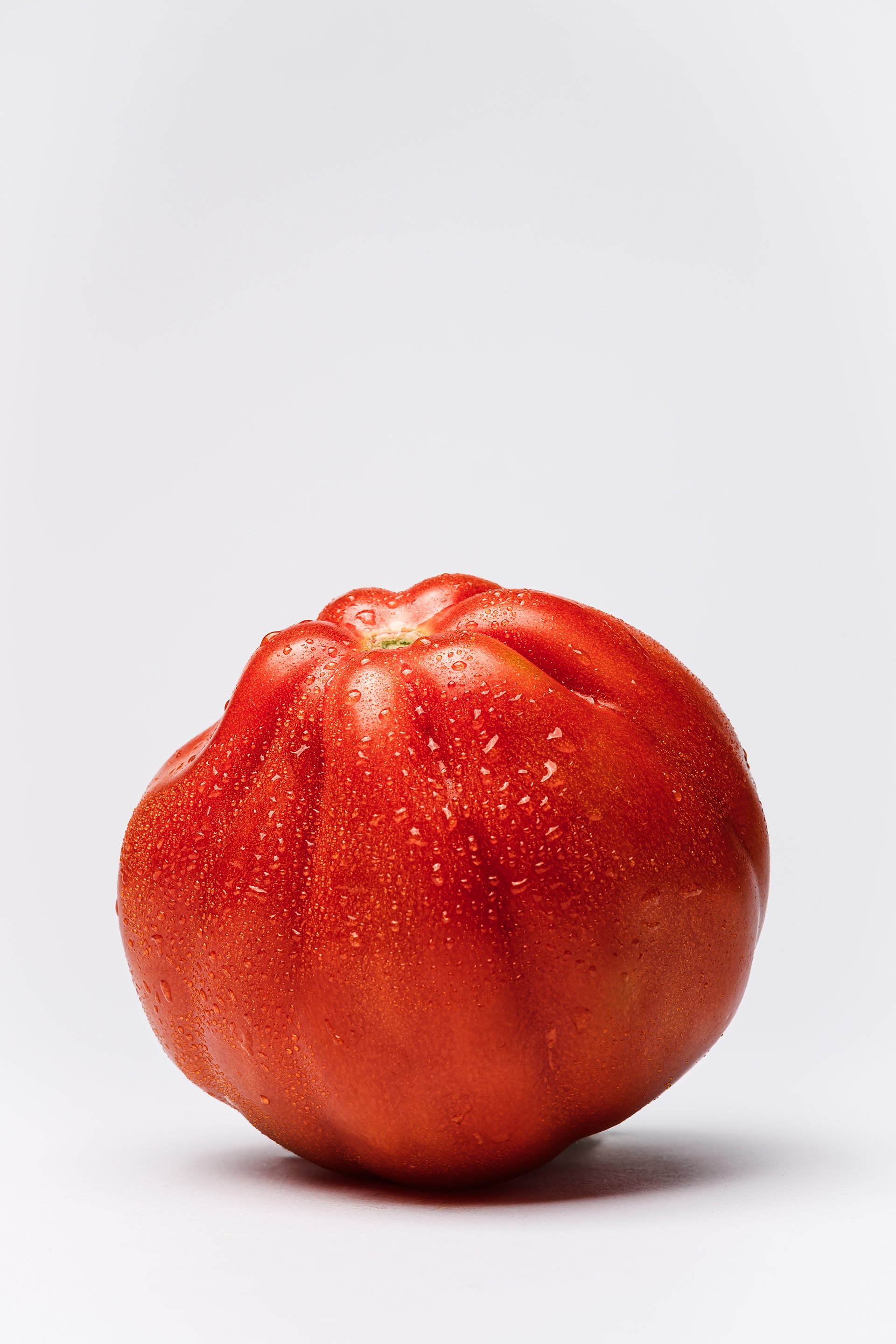 MadeByMyMillas-Godox-TomatoPortraits-5.jpg