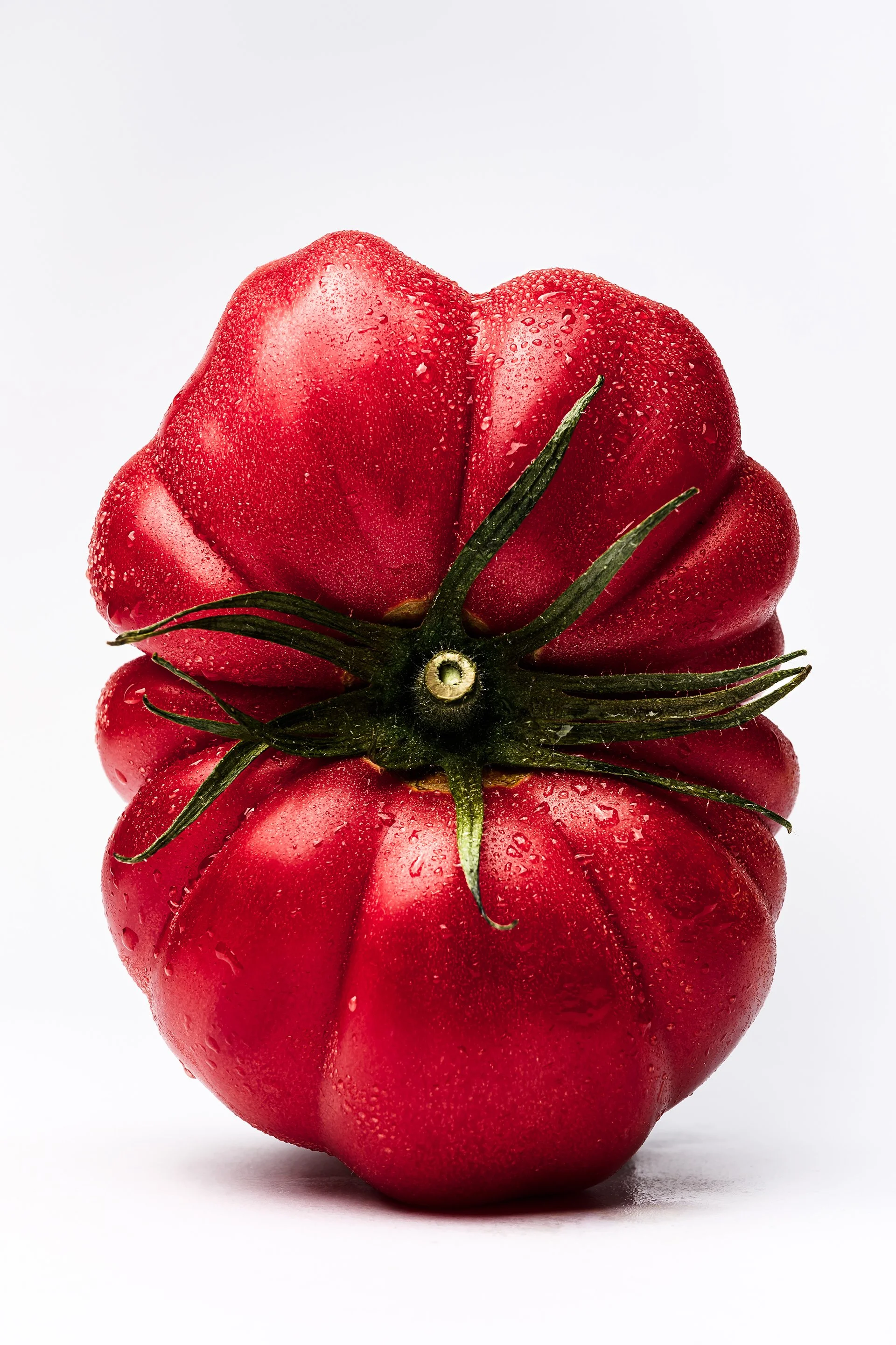 MadeByMyMillas-Godox-TomatoPortraits-7.jpg