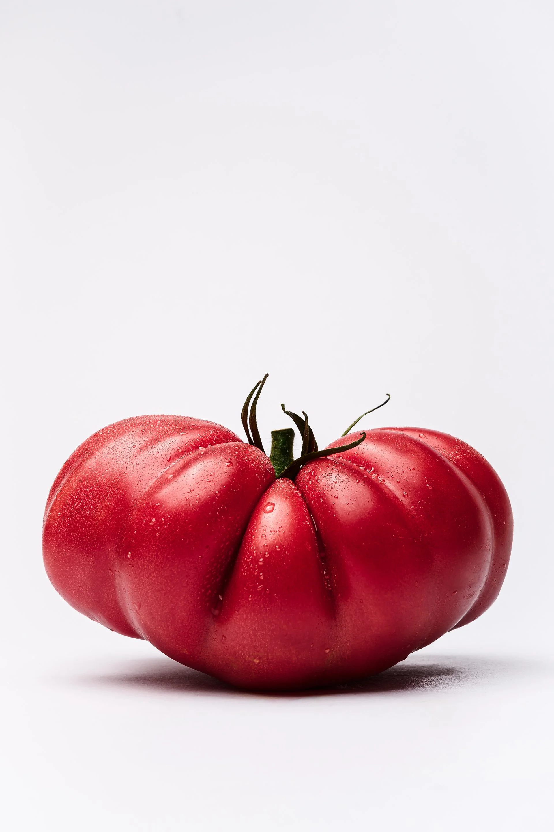 MadeByMyMillas-Godox-TomatoPortraits-8.jpg