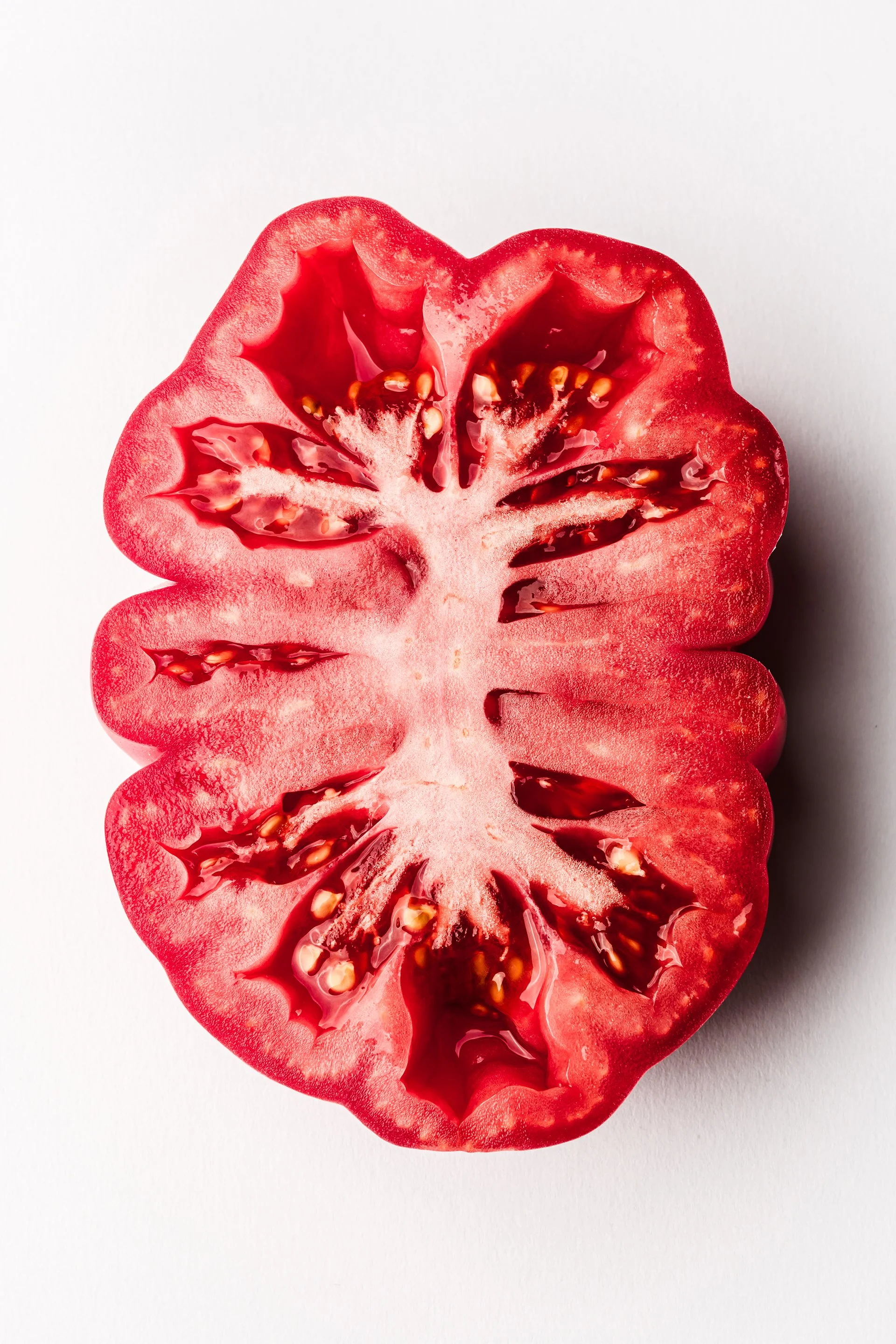 MadeByMyMillas-Godox-TomatoPortraits-11.jpg