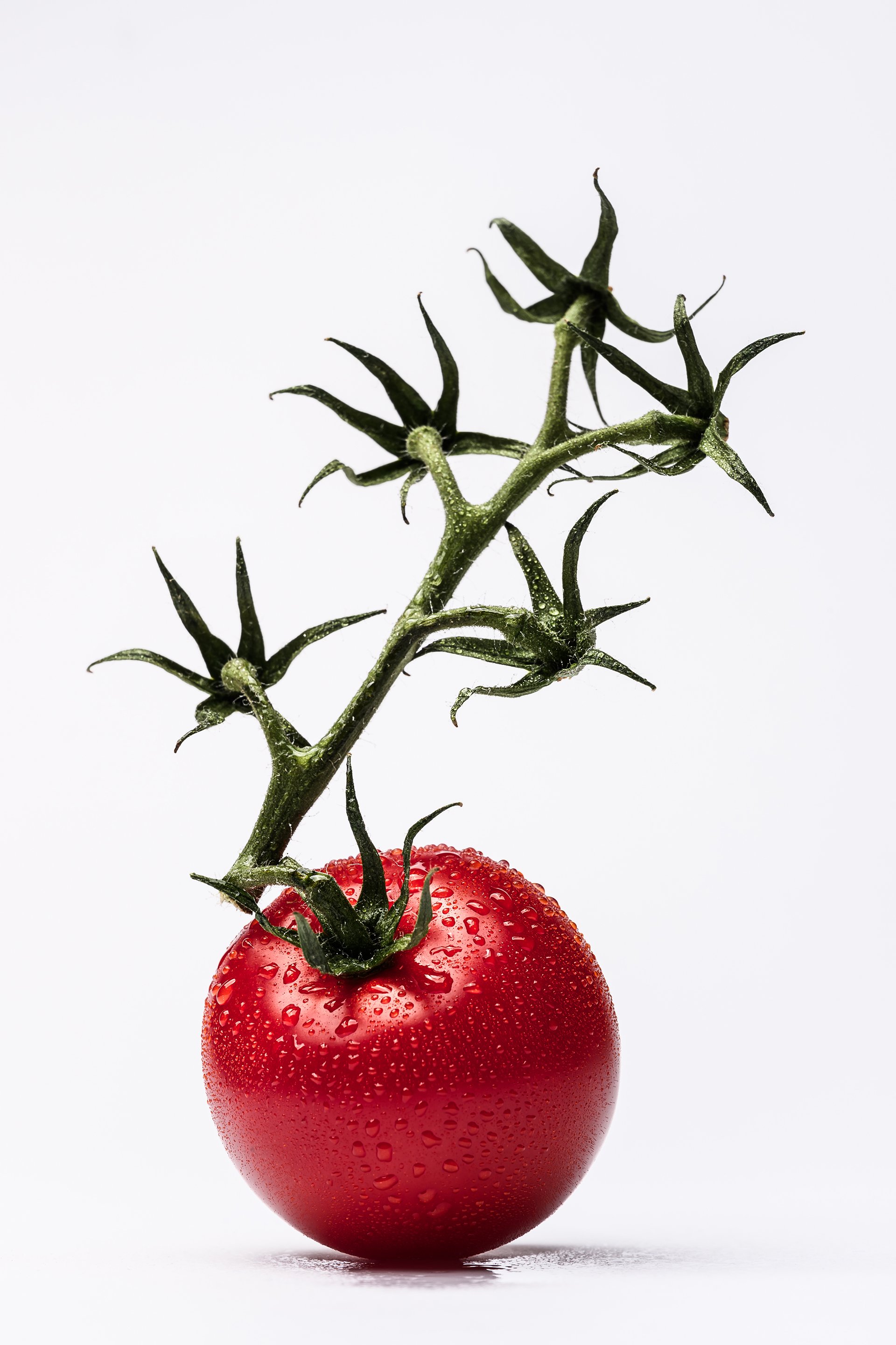 MadeByMrMillas-Godox-TomatoPortrait-1.jpg