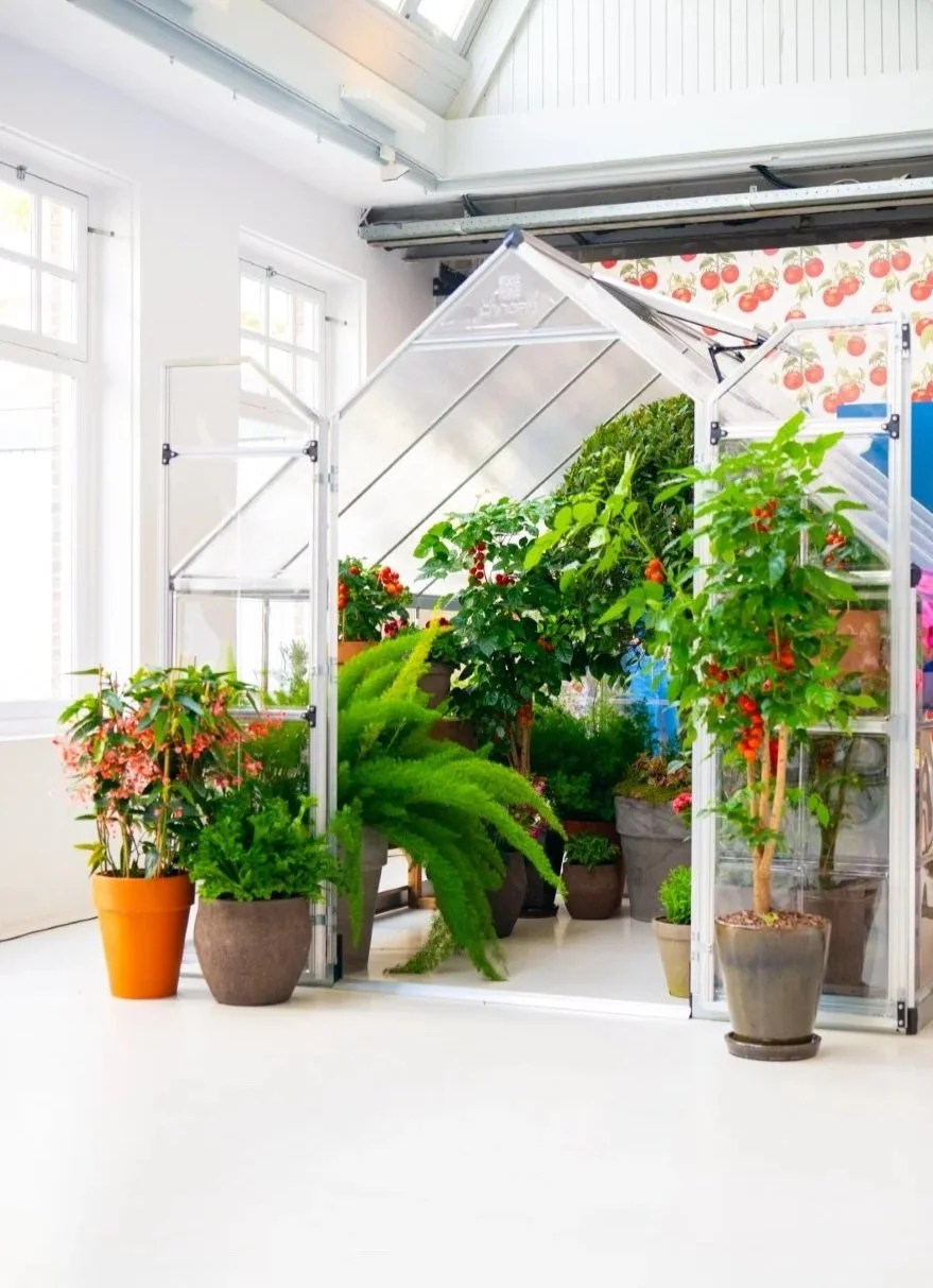 Harry Styles American Express KATTDO in Amsterdam Fabrication and Installation by Creator International for Slaack