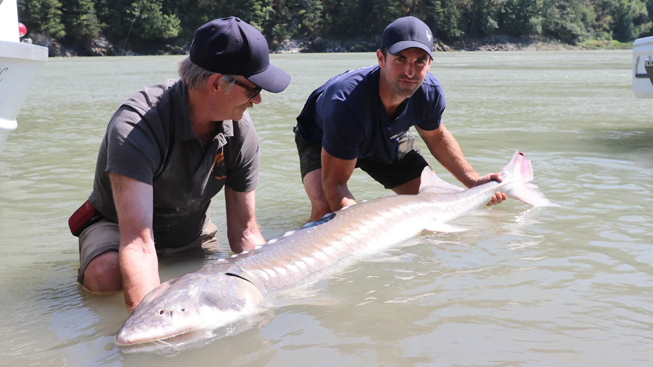  Andrew Ladd posing with a sturgeon during his fishing event that was focused on raising money for mental health and environmental conservation. 