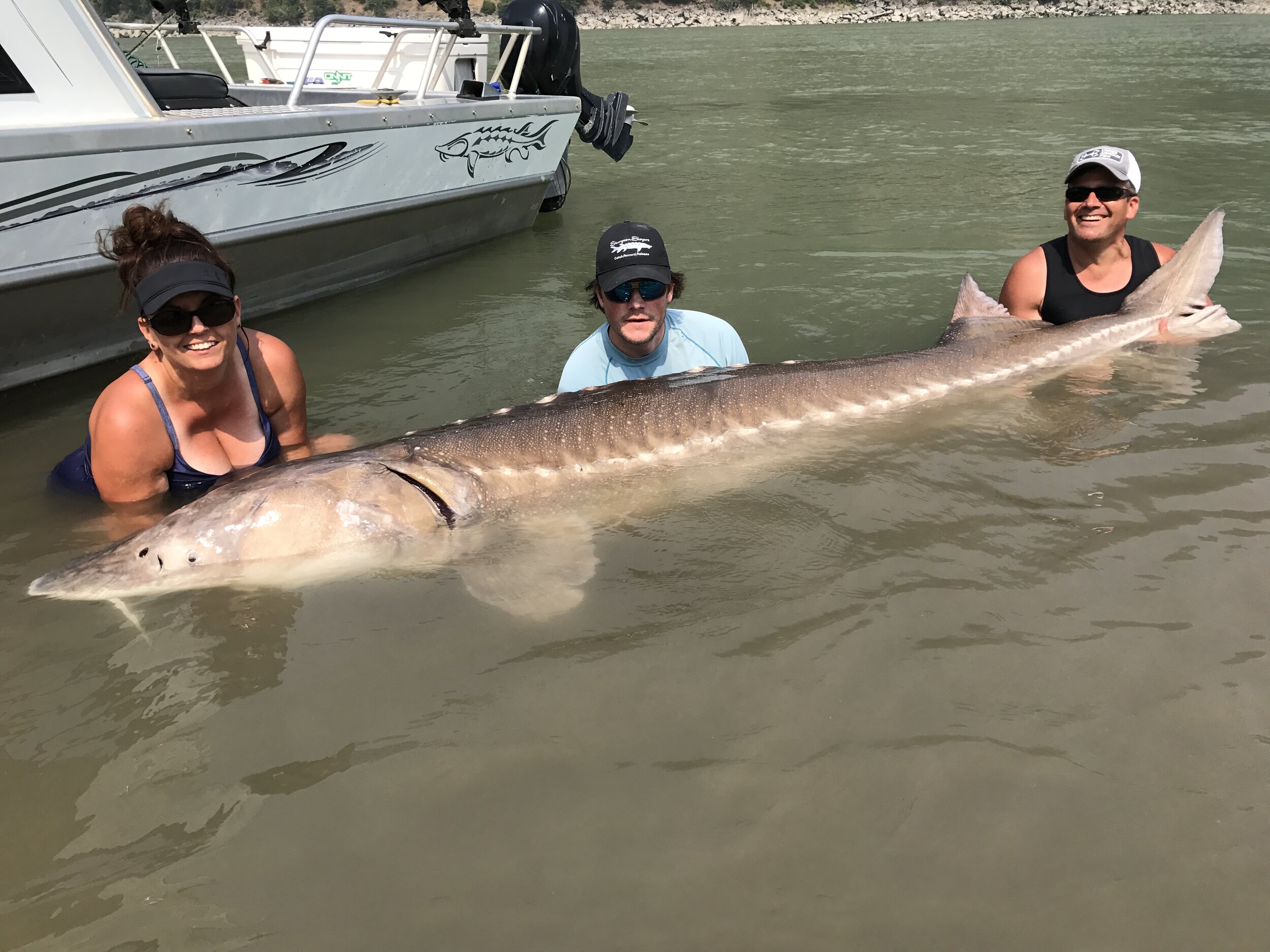 sturgeon fishing trips bc