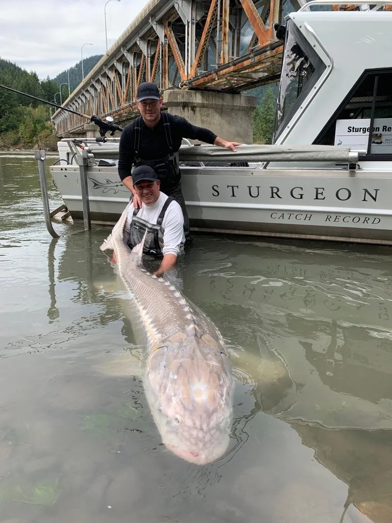    Kevin Estrada    - Before becoming one of the most respected sturgeon guides in B.C., Kevin graduated from Michigan State University and was drafted by the Carolina Hurricanes. After enjoying a strong professional hockey career, Kevin found himself back on the beautiful Fraser River. Since then, Kevin has dedicated his time to developing Sturgeon Slayers and advocating for Sturgeon conservation in British Columbia.  