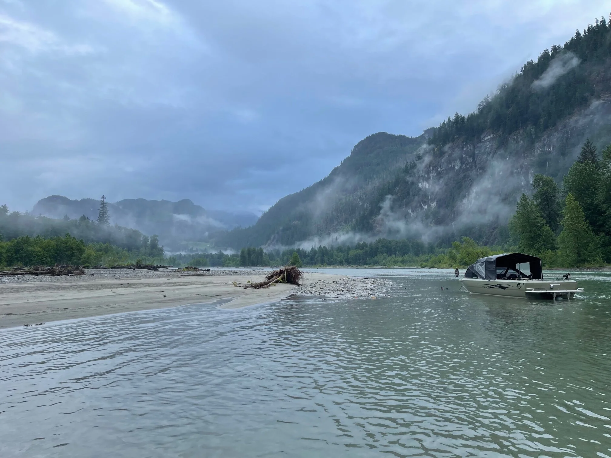  Bull Trout on the Pitt River, British Columbia 
