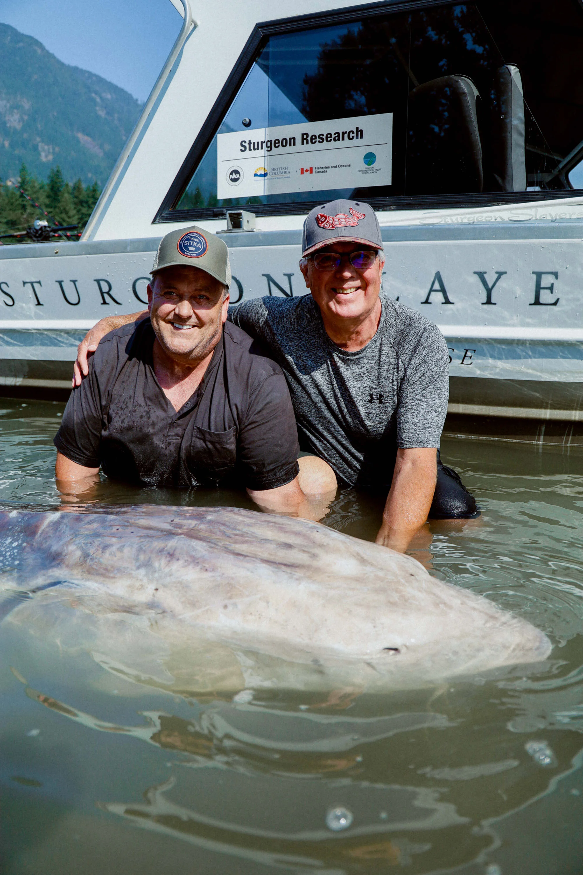 largest-sturgeon-in-bc.jpg