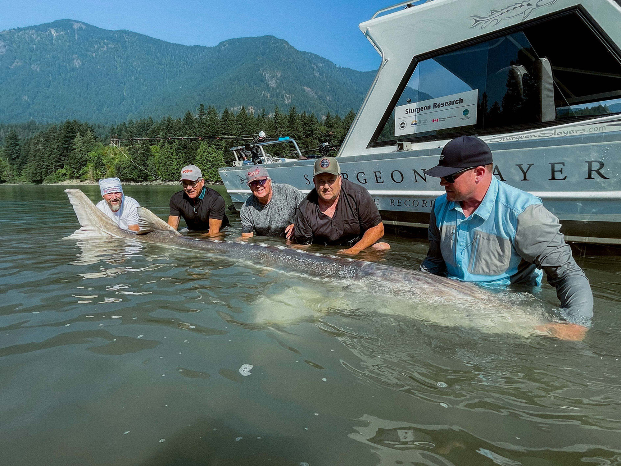 Sturgeon Slayers: Guided Sturgeon Fishing On The Fraser River