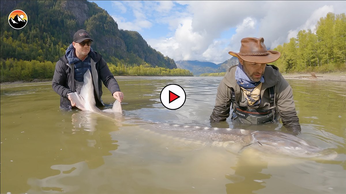 Why Proper Fishing Gear Is Important — Sturgeon Slayers