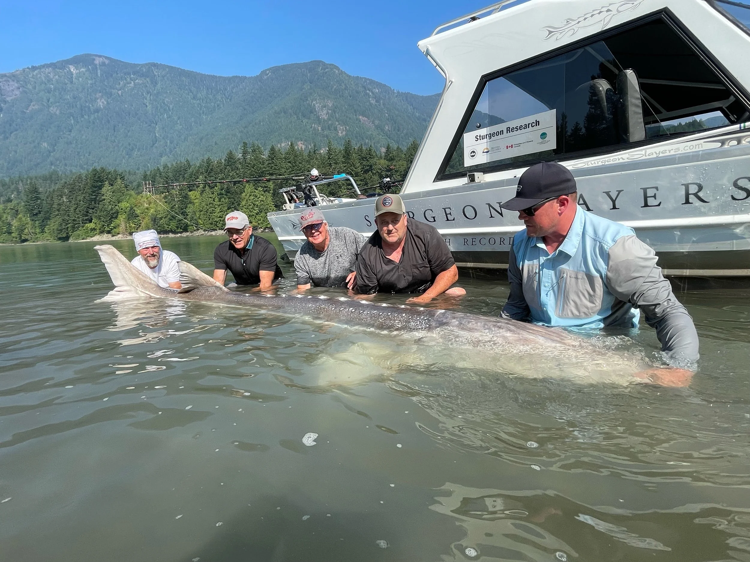    Learn about the sturgeon in this photo   