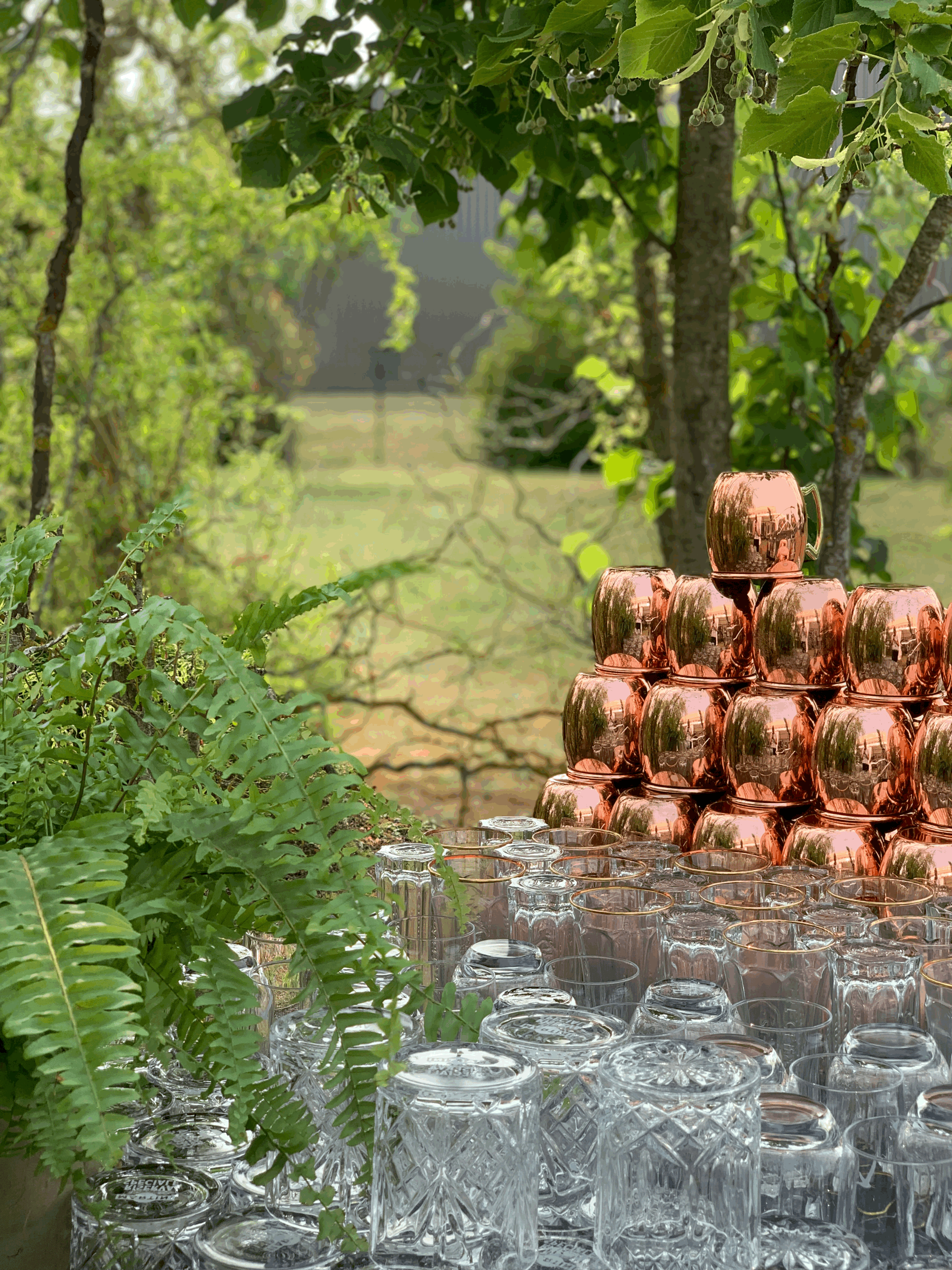 Cabinet RBA, Fondettes