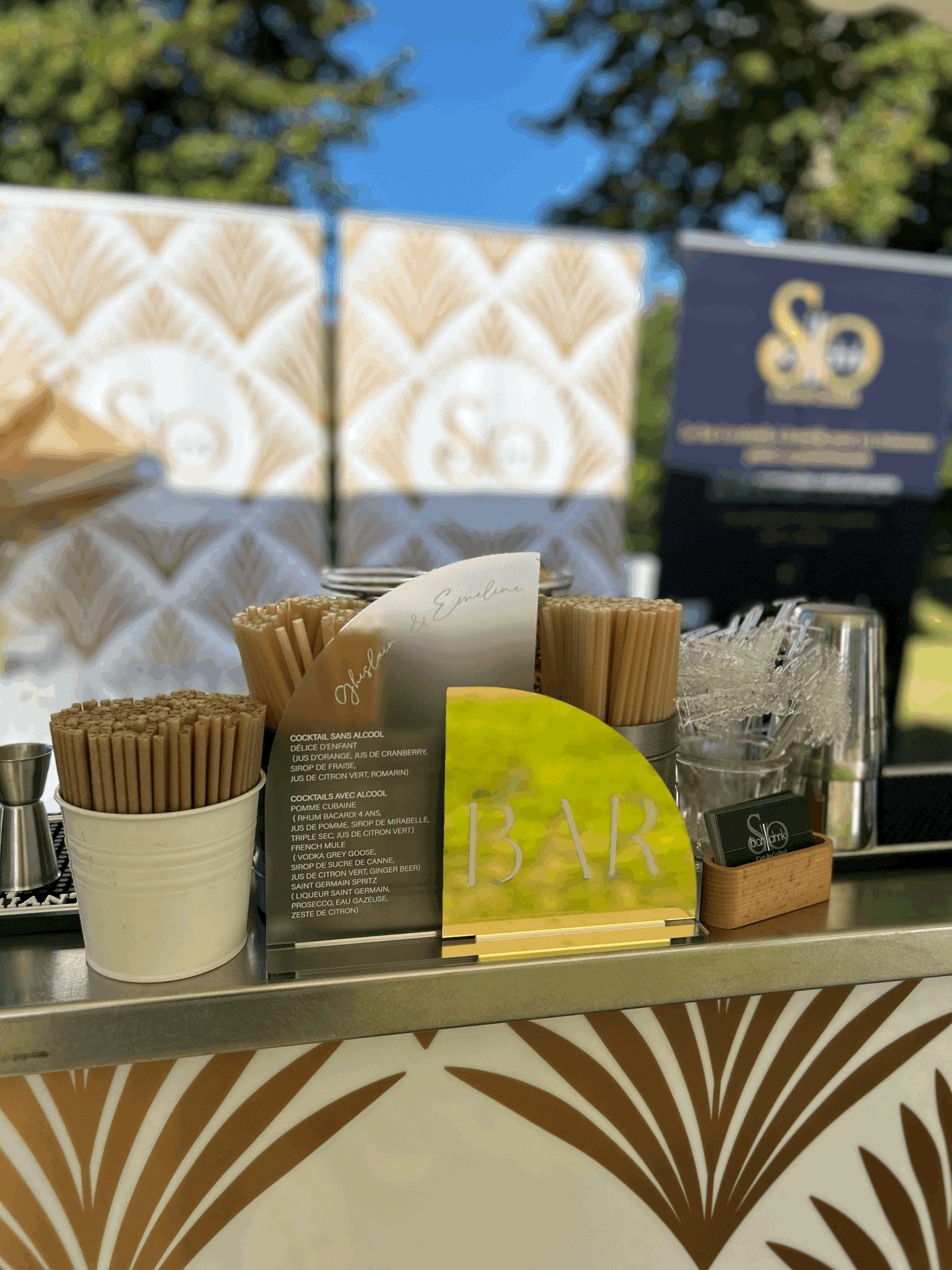 Mariage Mr & Mme CREMET, Château de la Grille à Chinon