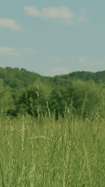 Hnet.com-image (1).gif