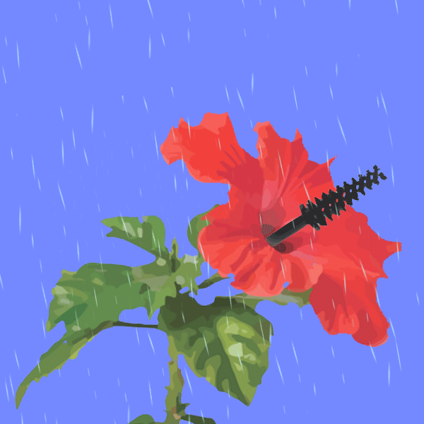 Waterproof Beauty