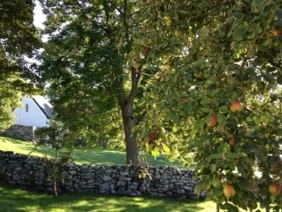 Abbedens hus ved Utstein Kloster