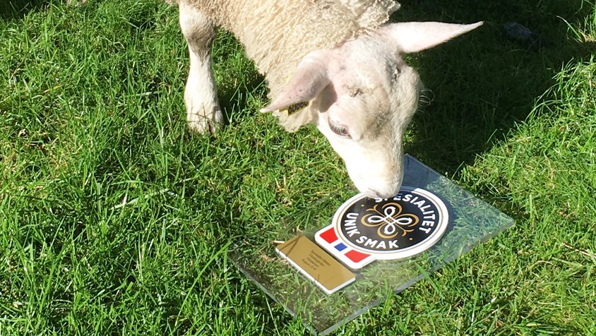 Ikke frykt dagligvaren