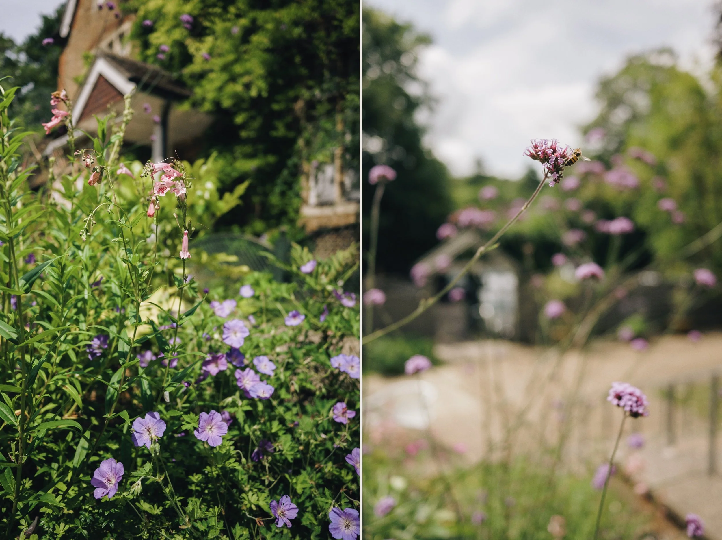 Flowers outside Guildford Register Office